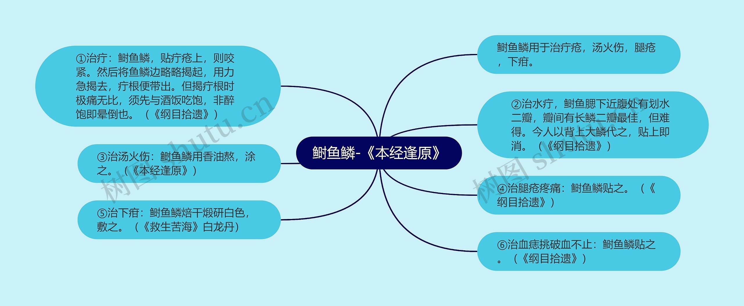 鲥鱼鳞-《本经逢原》思维导图