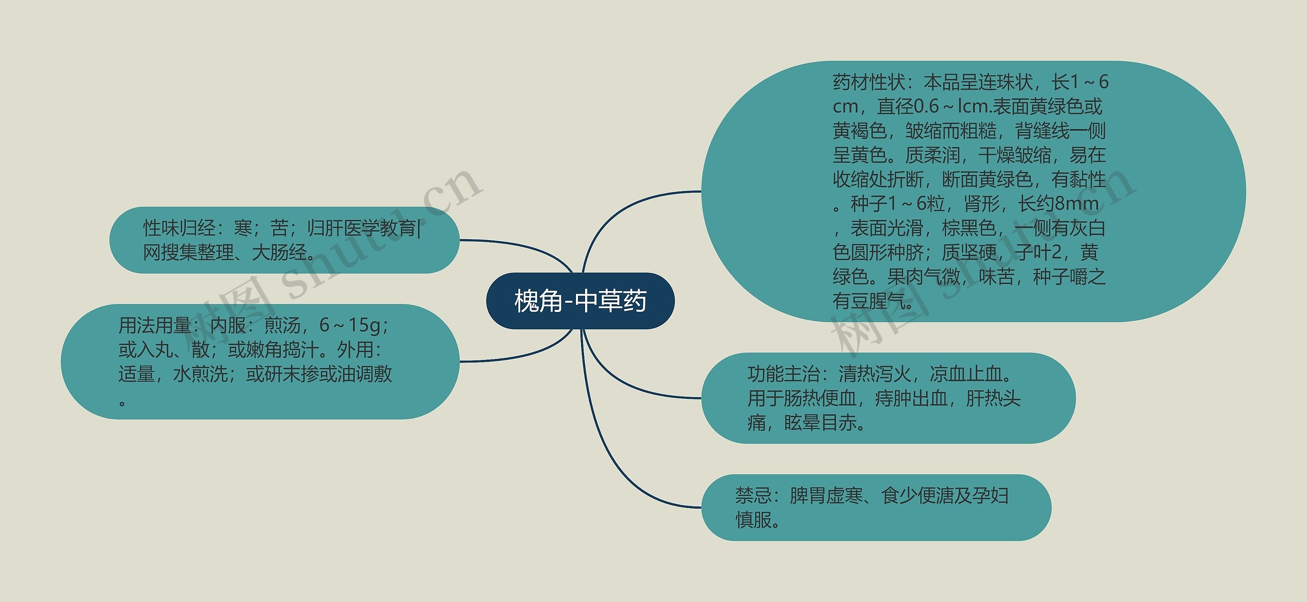 槐角-中草药 槐角-中草药