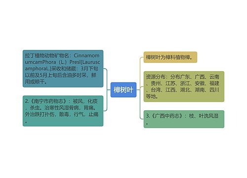 樟树叶