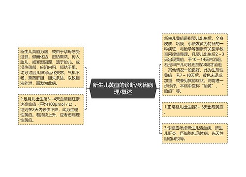 新生儿黄疸的诊断/病因病理/概述