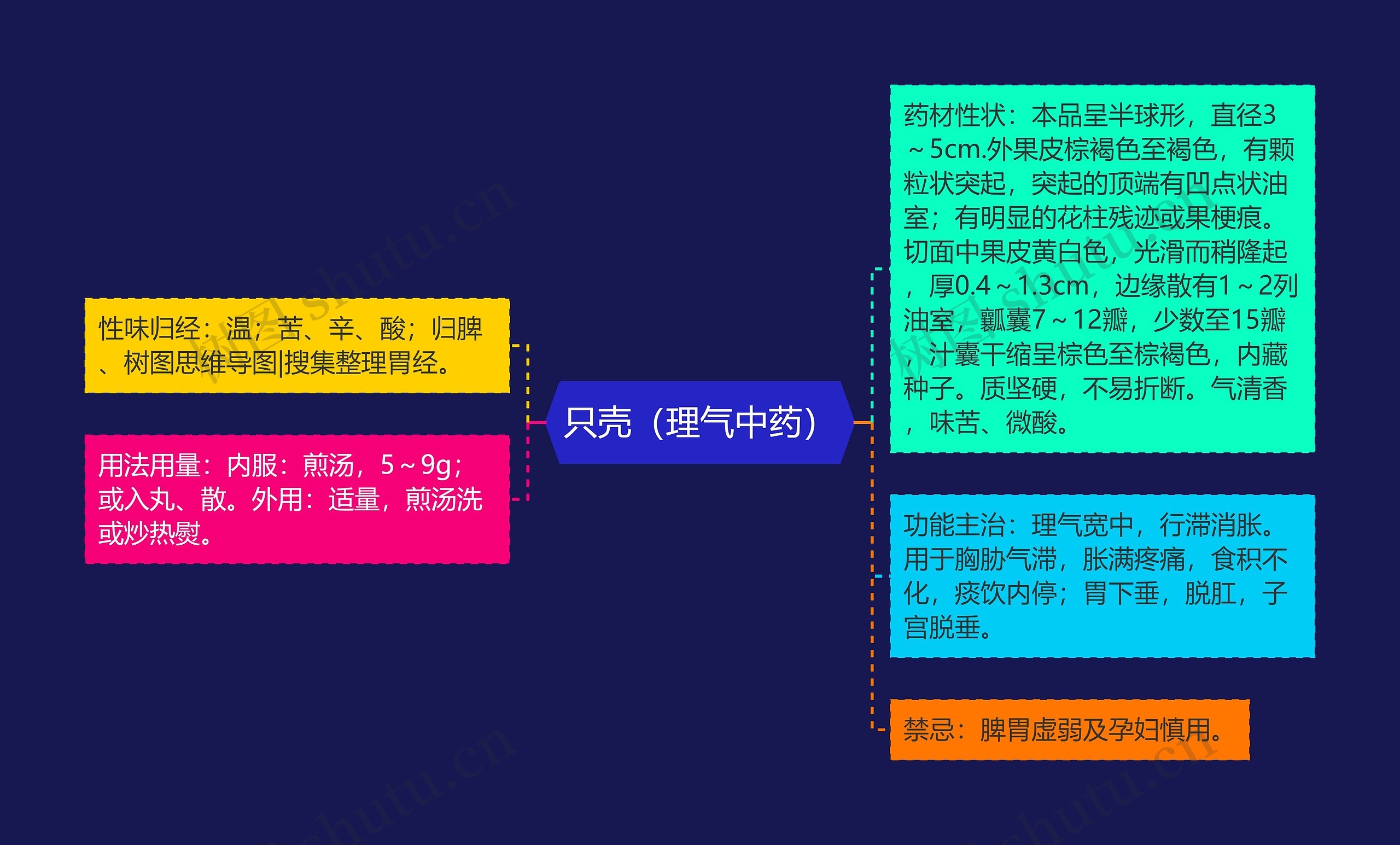 只壳（理气中药）思维导图