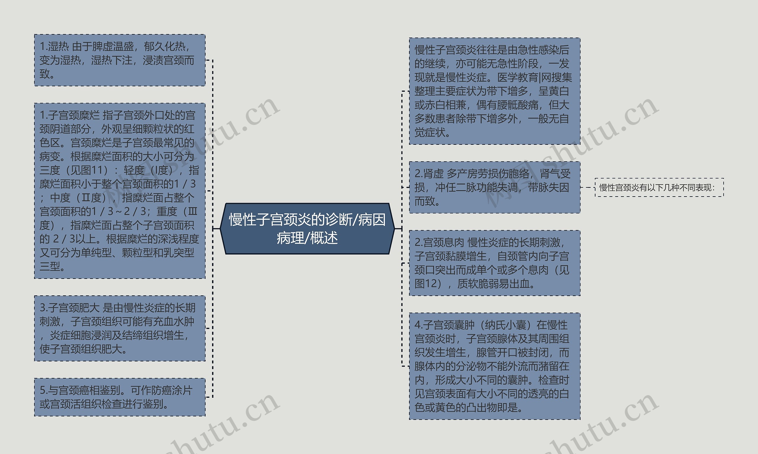 慢性子宫颈炎的诊断/病因病理/概述