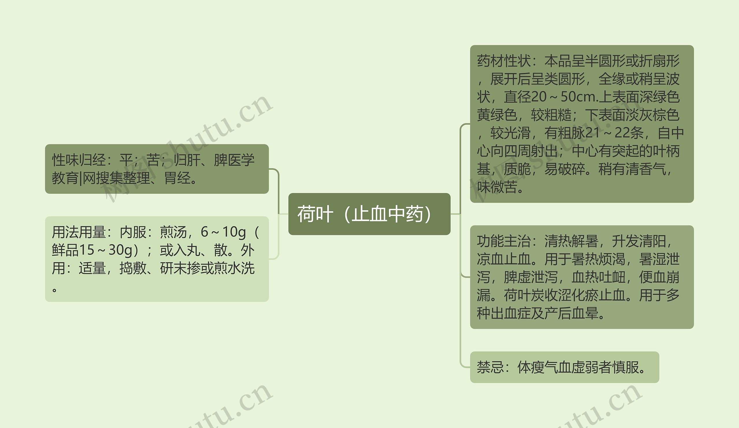 荷叶(止血中药) 荷叶(止血中药)