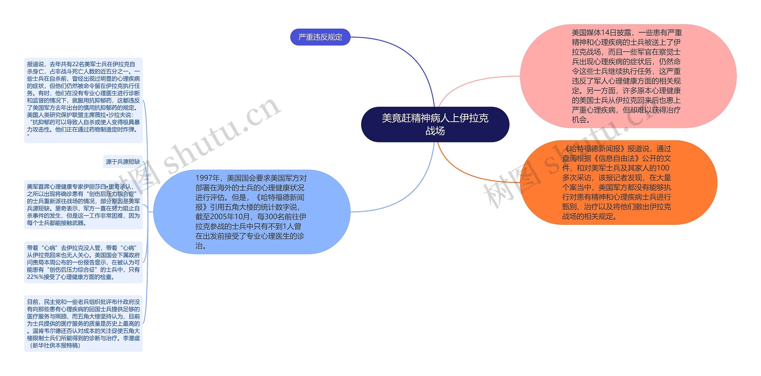 美竟赶精神病人上伊拉克战场思维导图