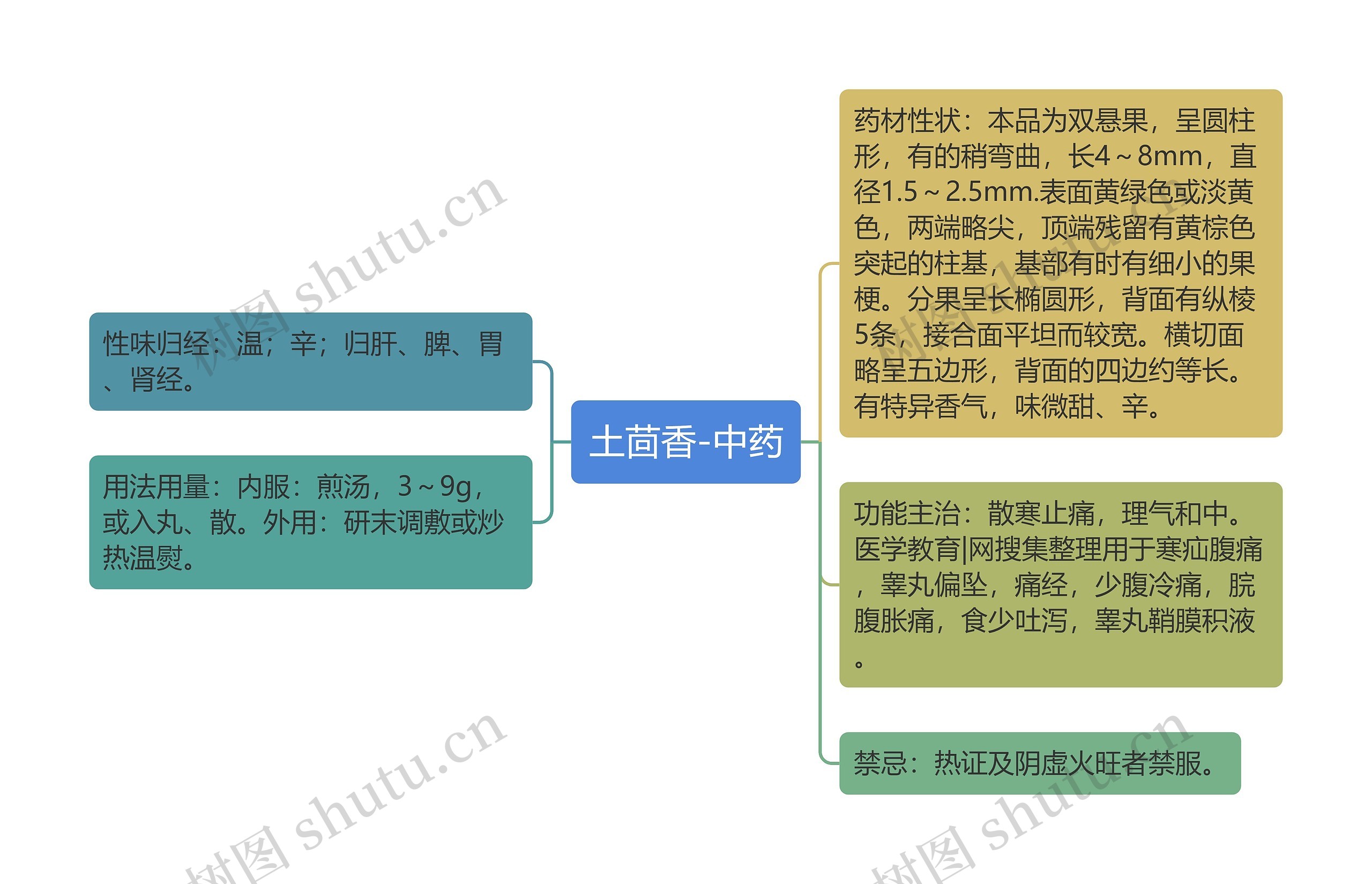 土茴香-中药思维导图