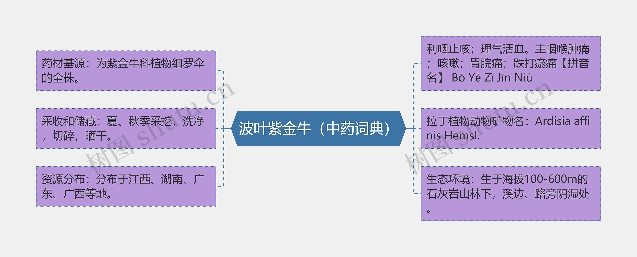 波叶紫金牛（中药词典）思维导图