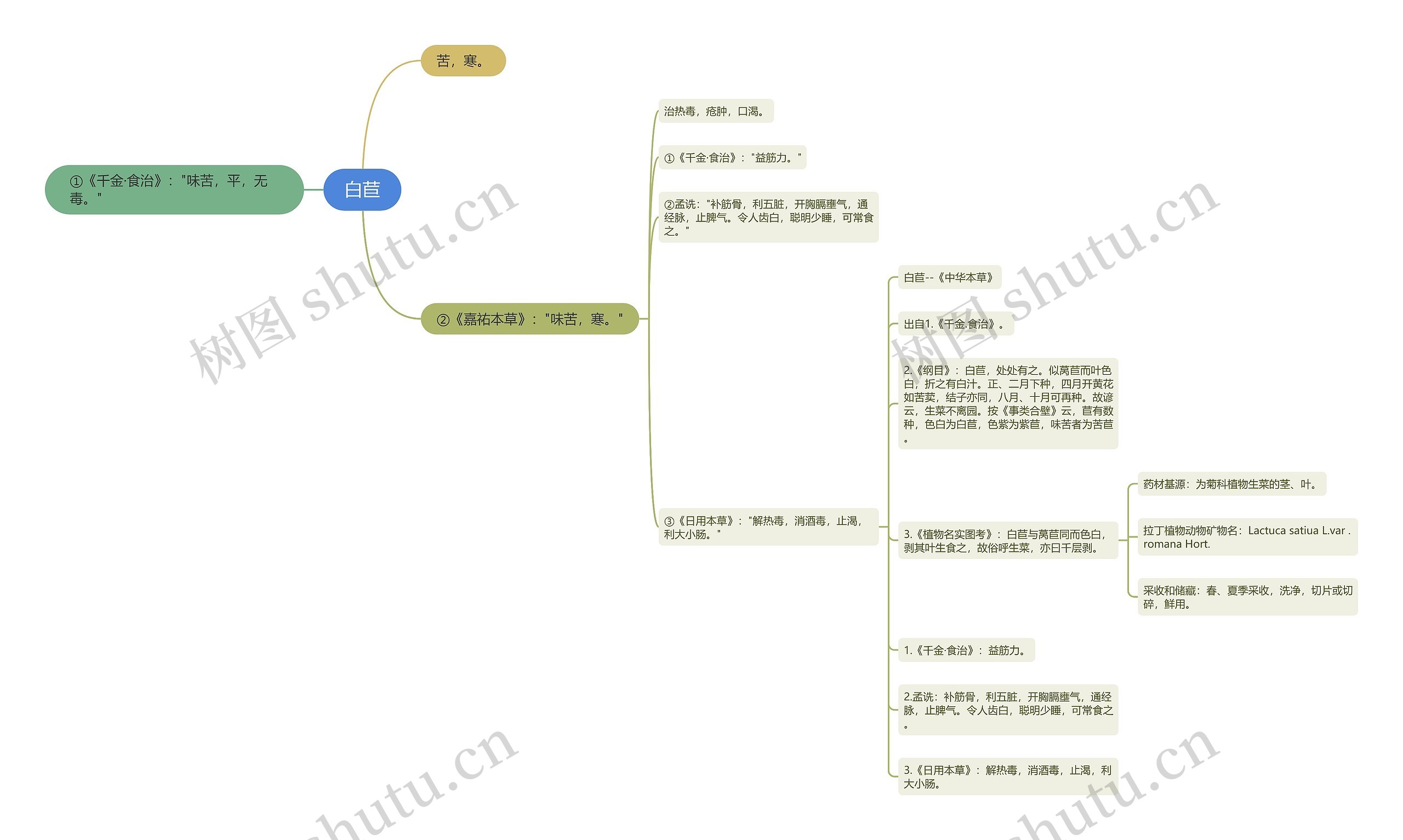 白苣思维导图