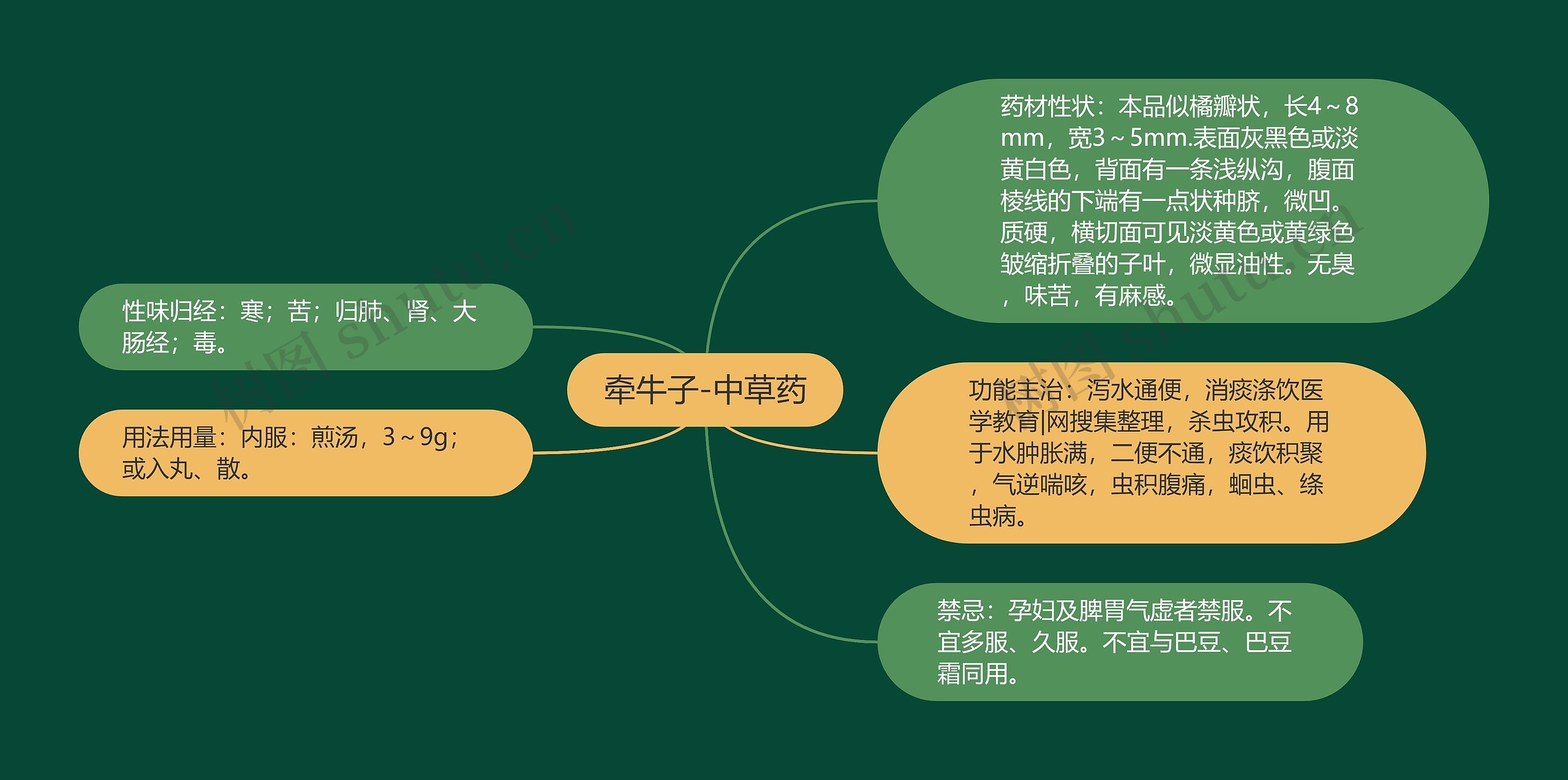 牵牛子-中草药思维导图