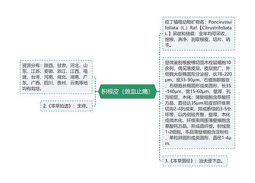 枳根皮（敛血止痛）