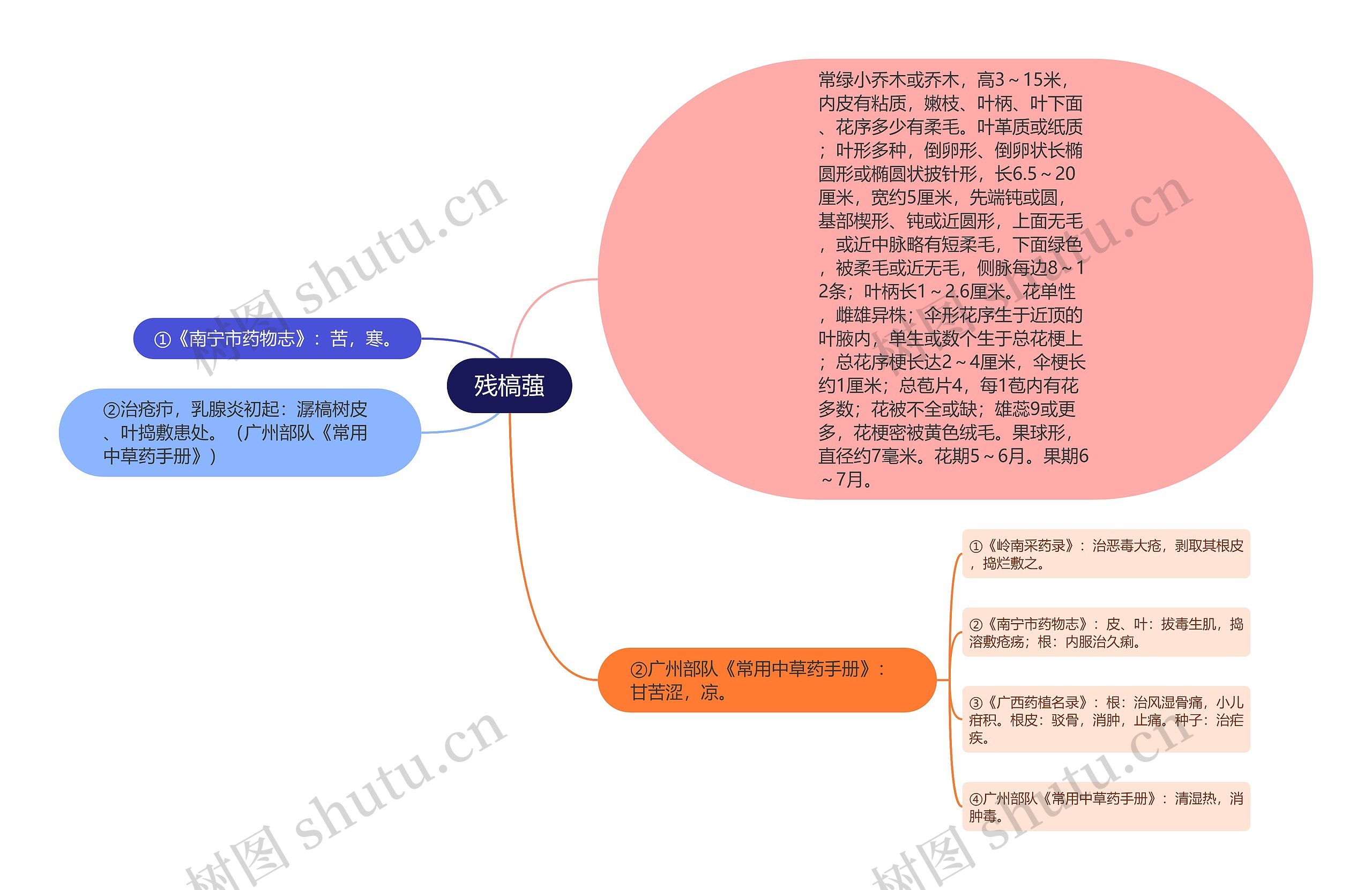 残槁蔃思维导图