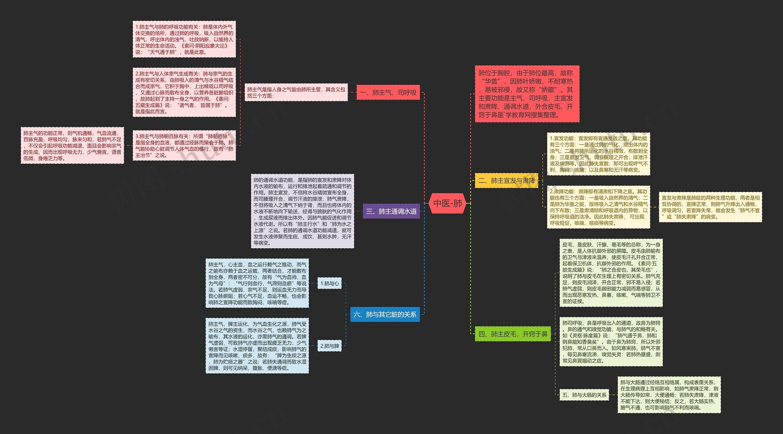 中医-肺思维导图