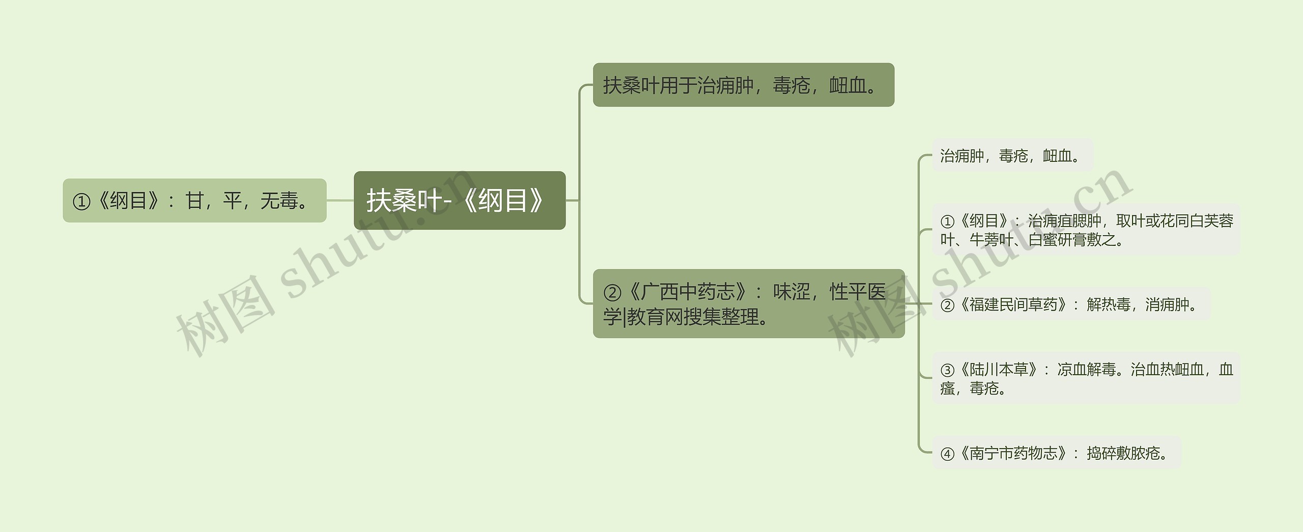 扶桑叶-《纲目》思维导图