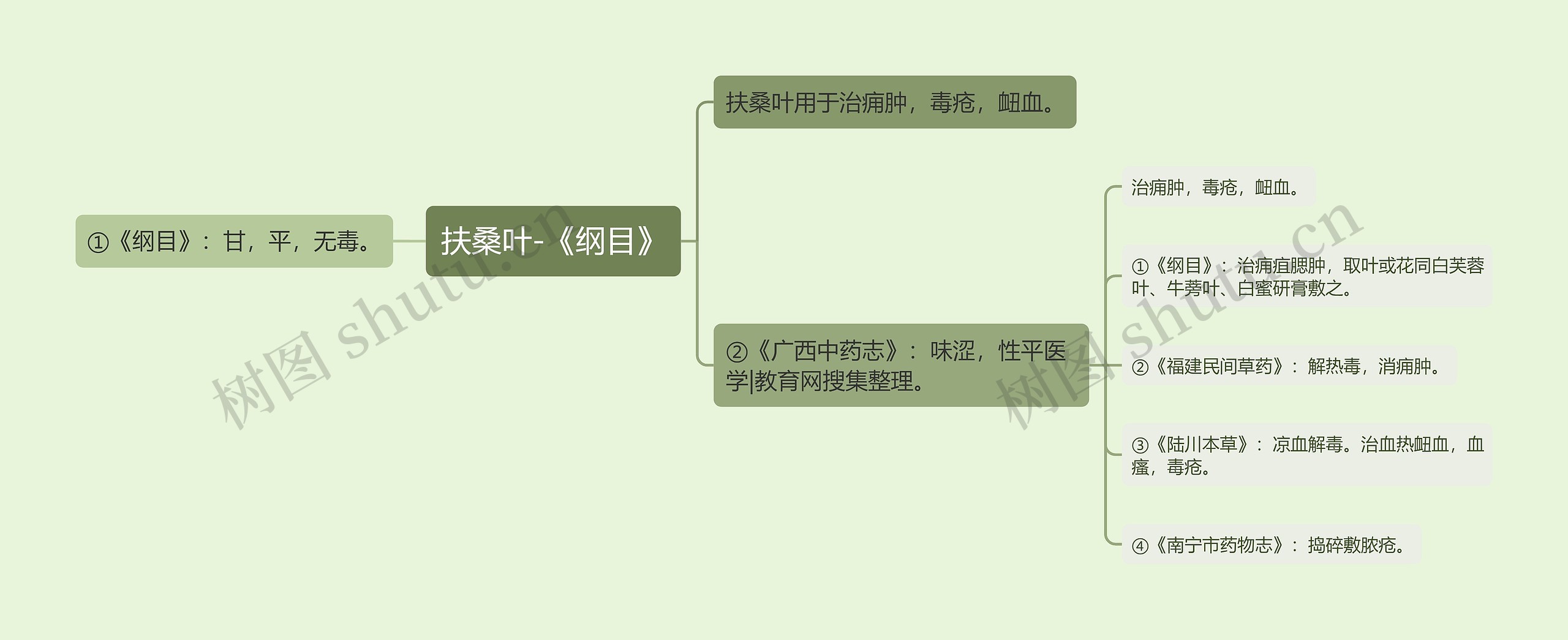 扶桑叶-《纲目》 扶桑叶-《纲目》