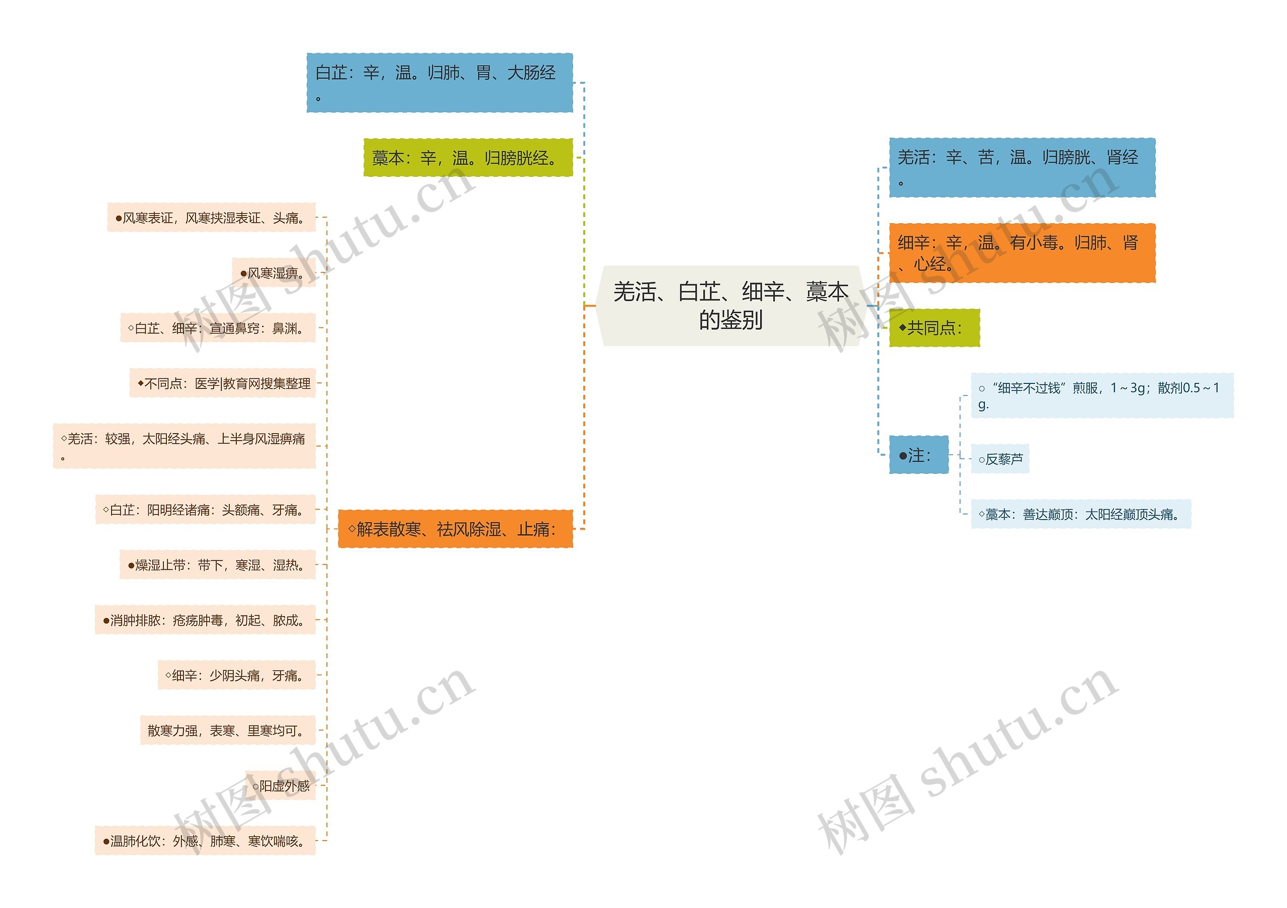 羌活、白芷、细辛、藁本的鉴别思维导图