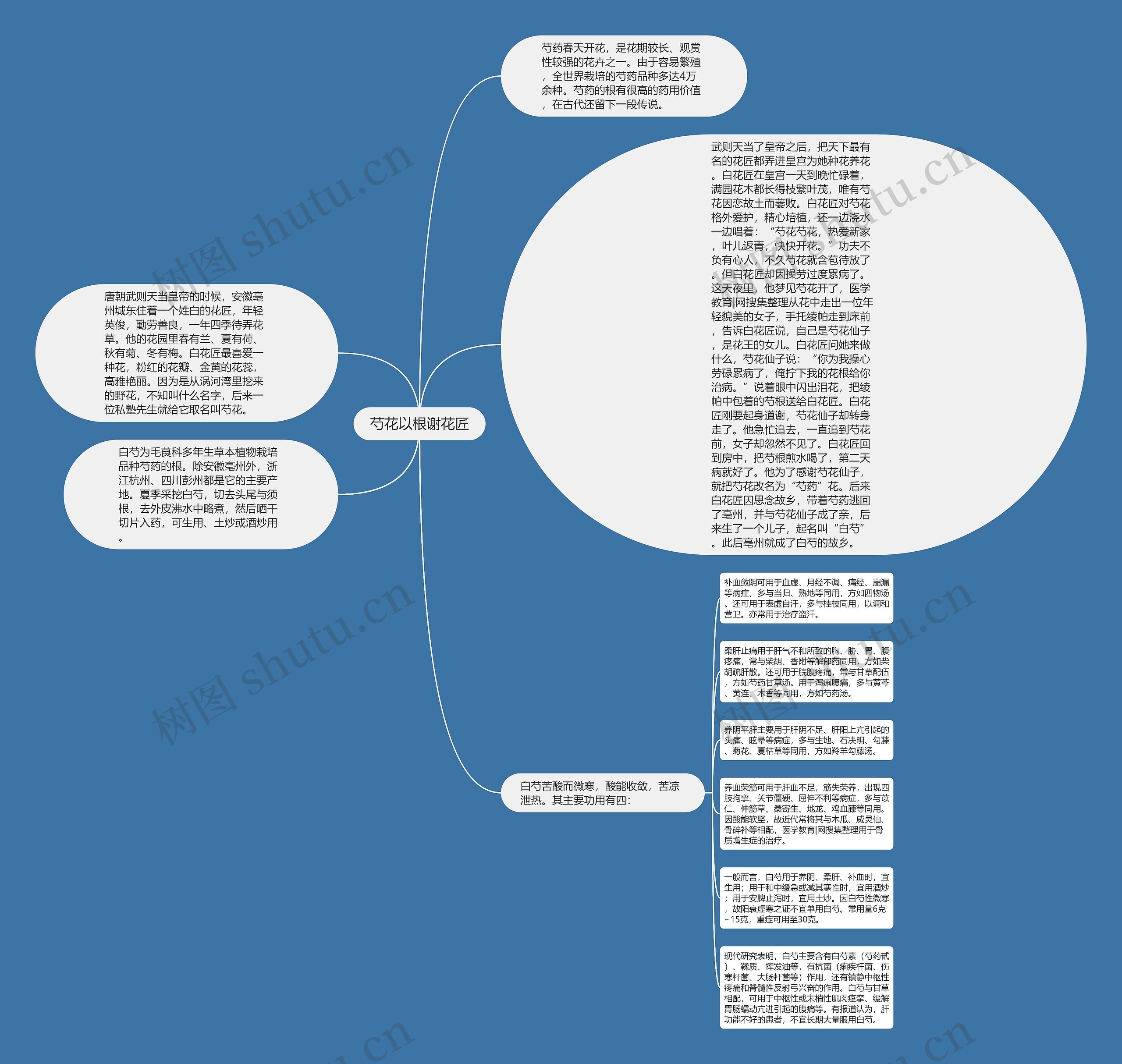芍花以根谢花匠思维导图