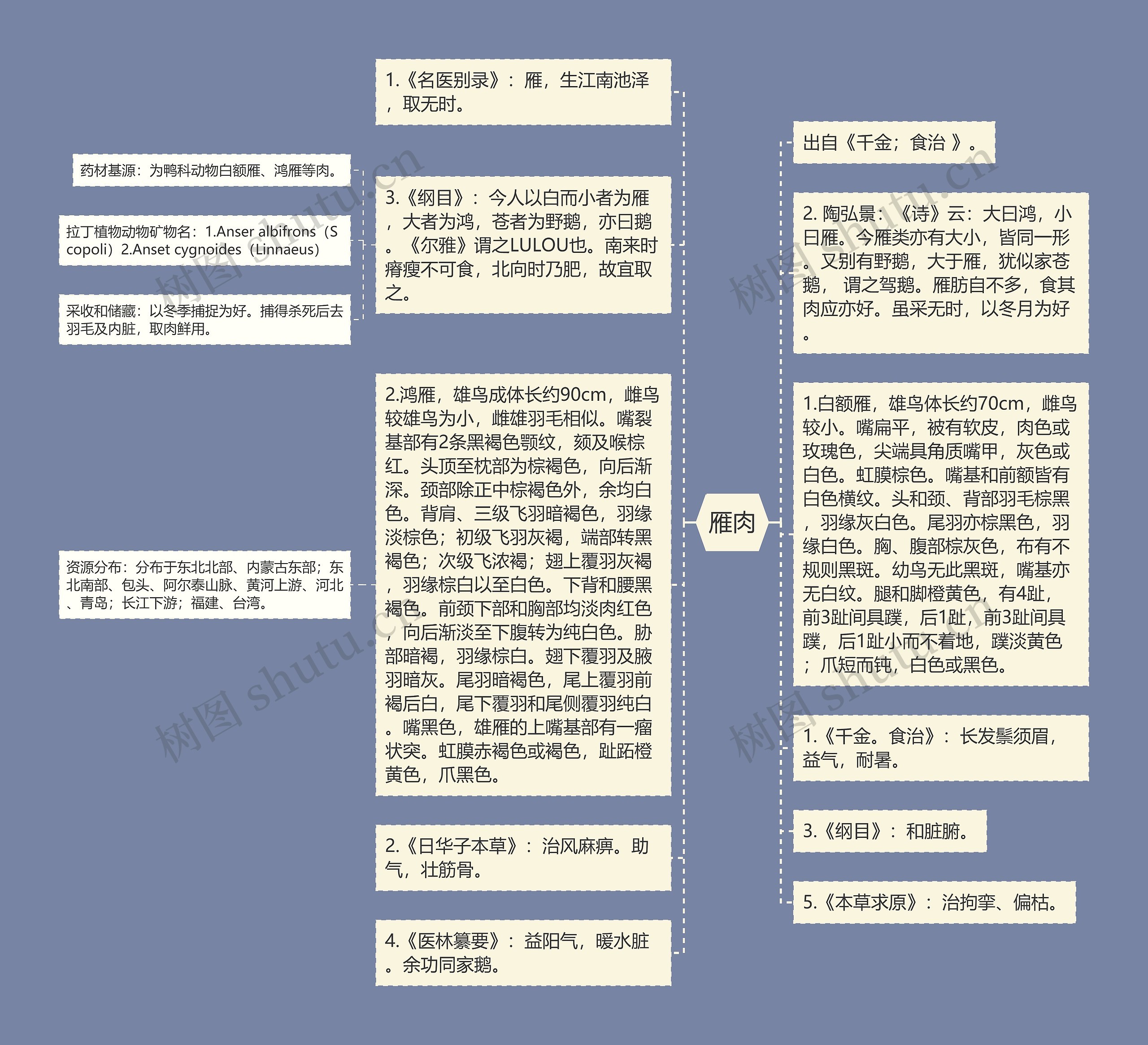 雁肉思维导图