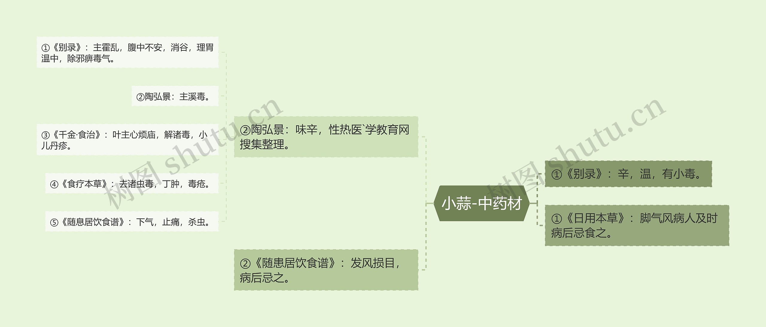 小蒜-中药材 小蒜-中药材