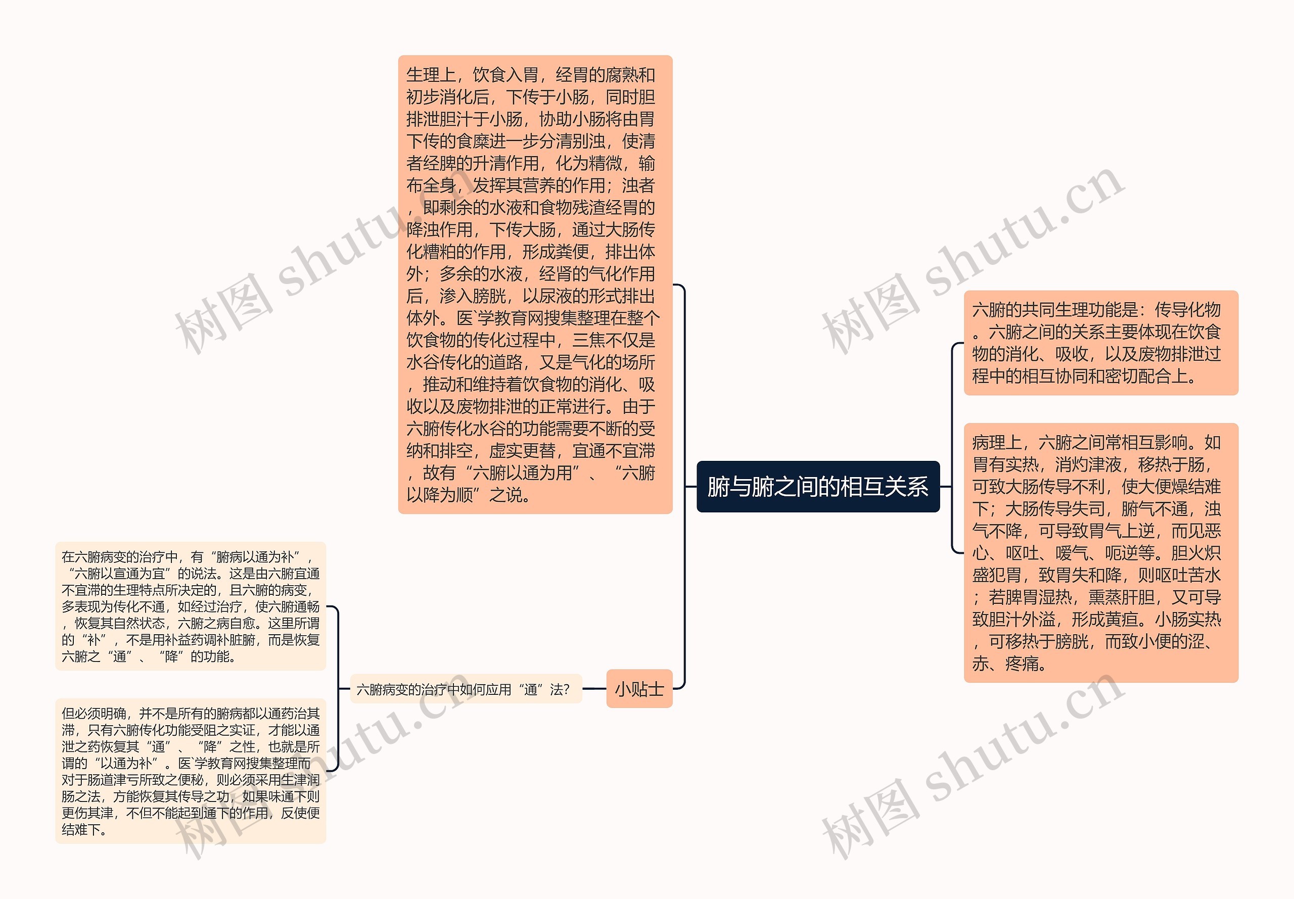 腑与腑之间的相互关系思维导图