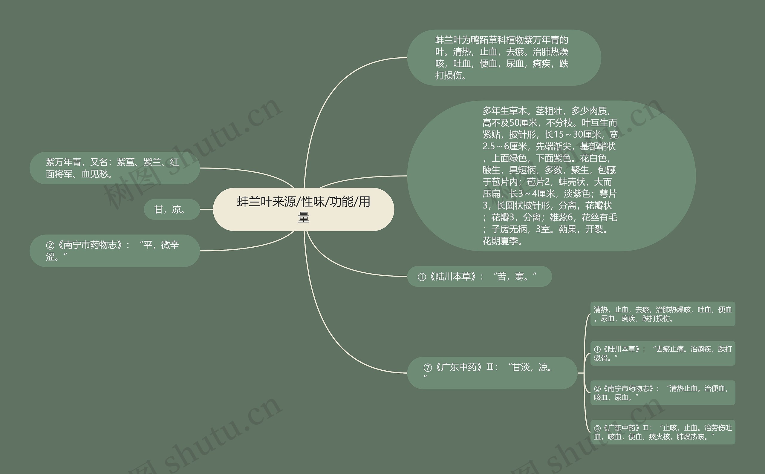 蚌兰叶来源/性味/功能/用量思维导图