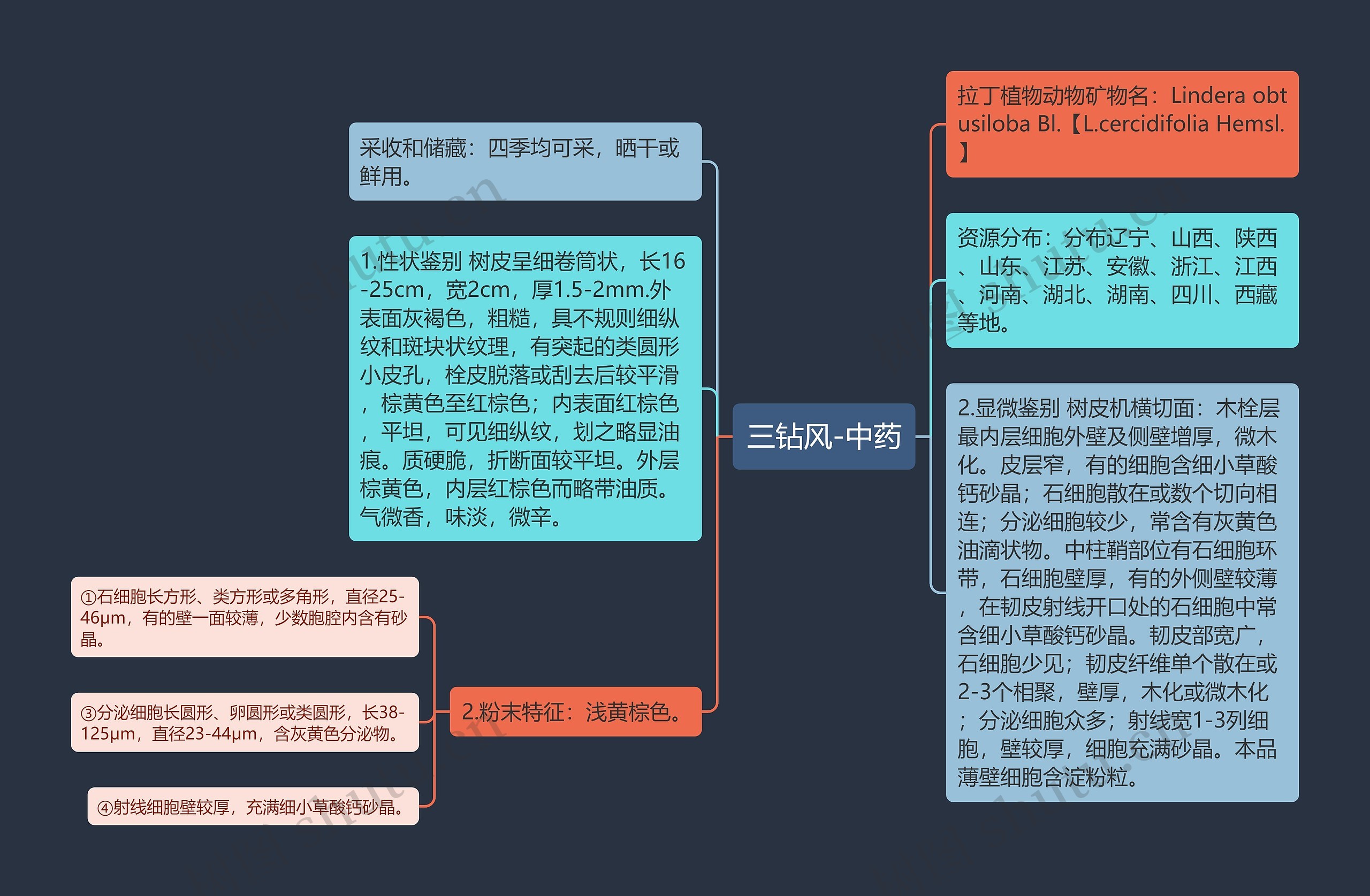 三钻风-中药思维导图