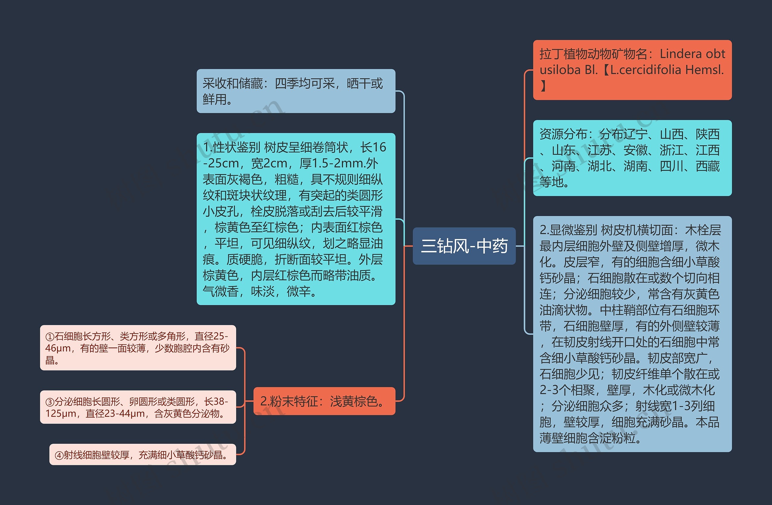 三钻风-中药 三钻风-中药
