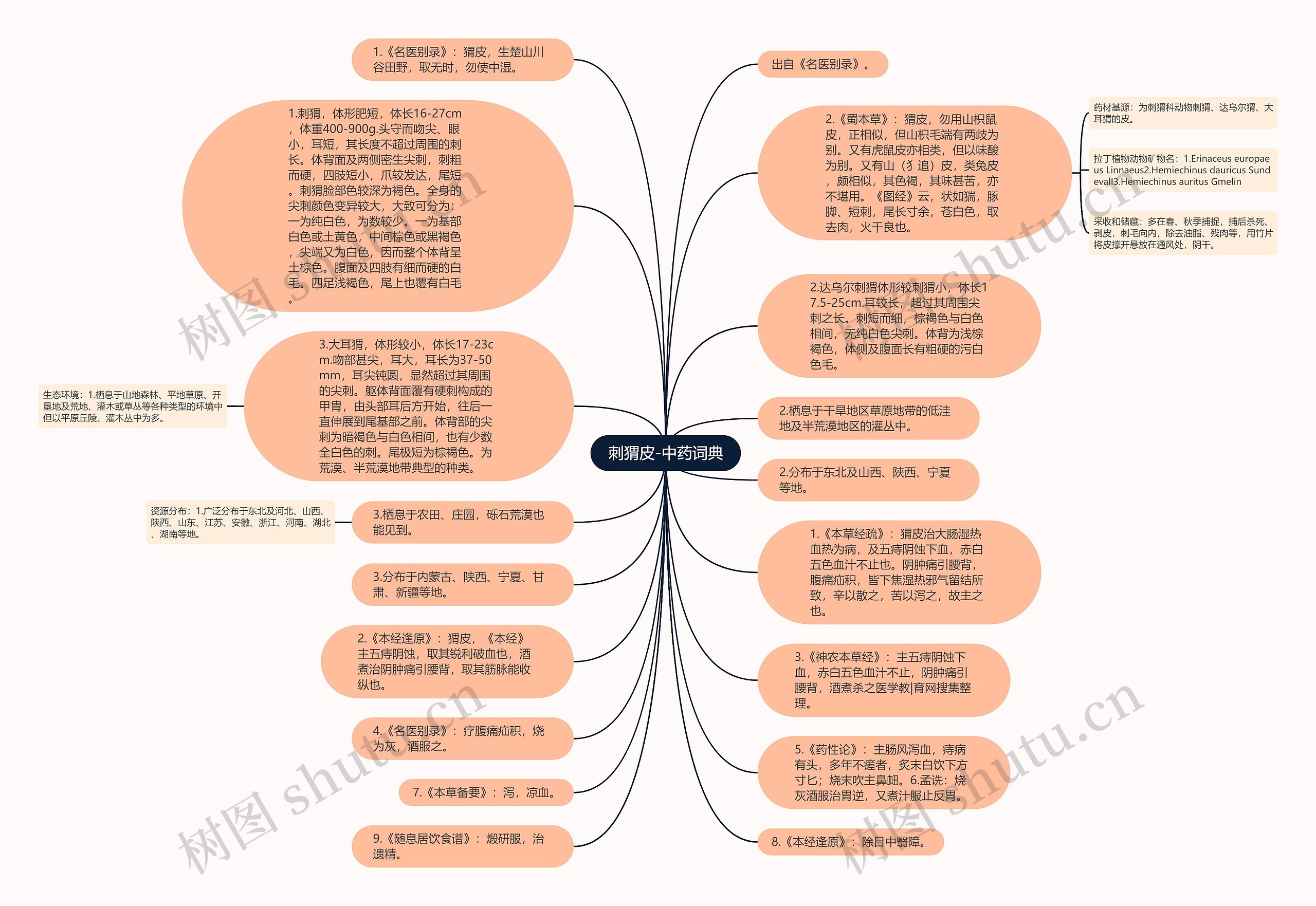刺猬皮-中药词典思维导图