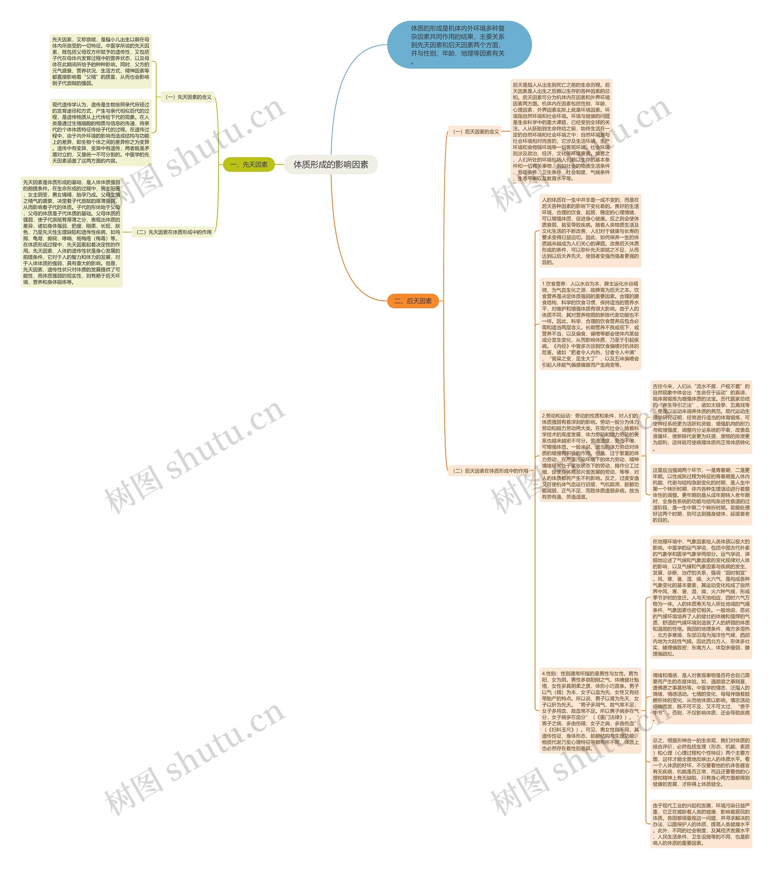 体质形成的影响因素思维导图