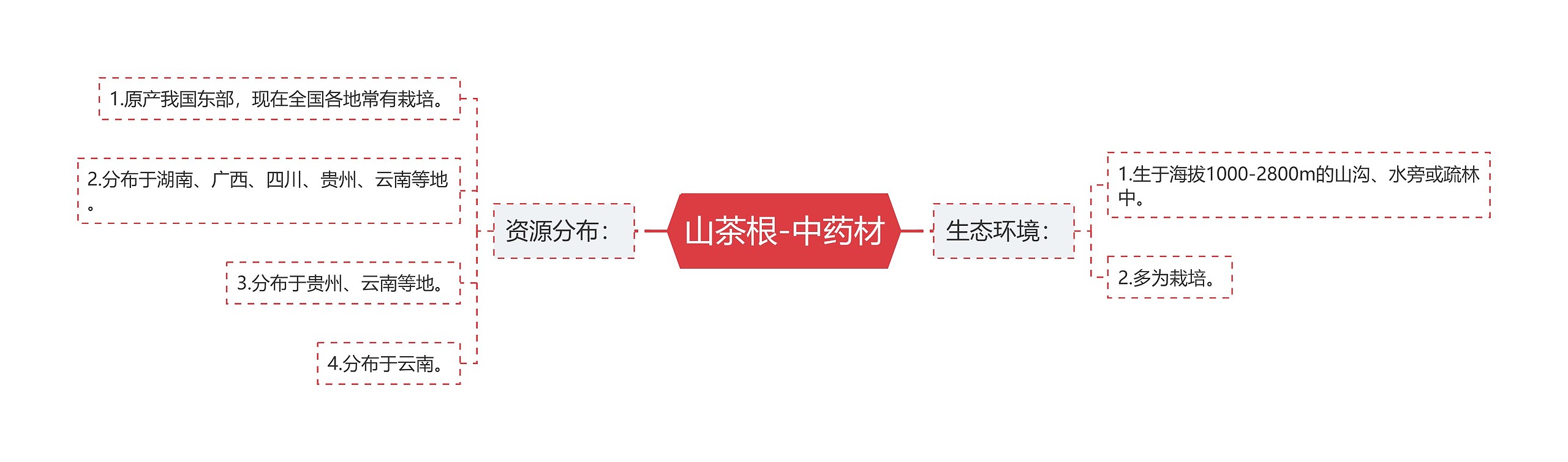 山茶根-中药材 山茶根-中药材