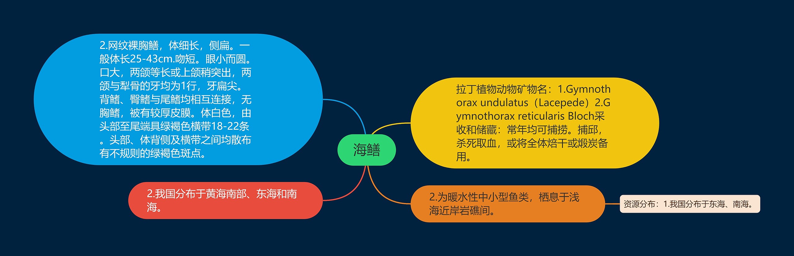 海鳝思维导图