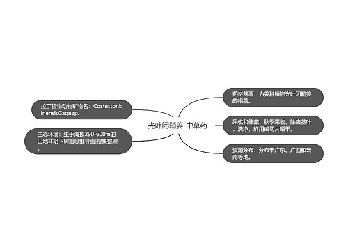 光叶闭鞘姜-中草药