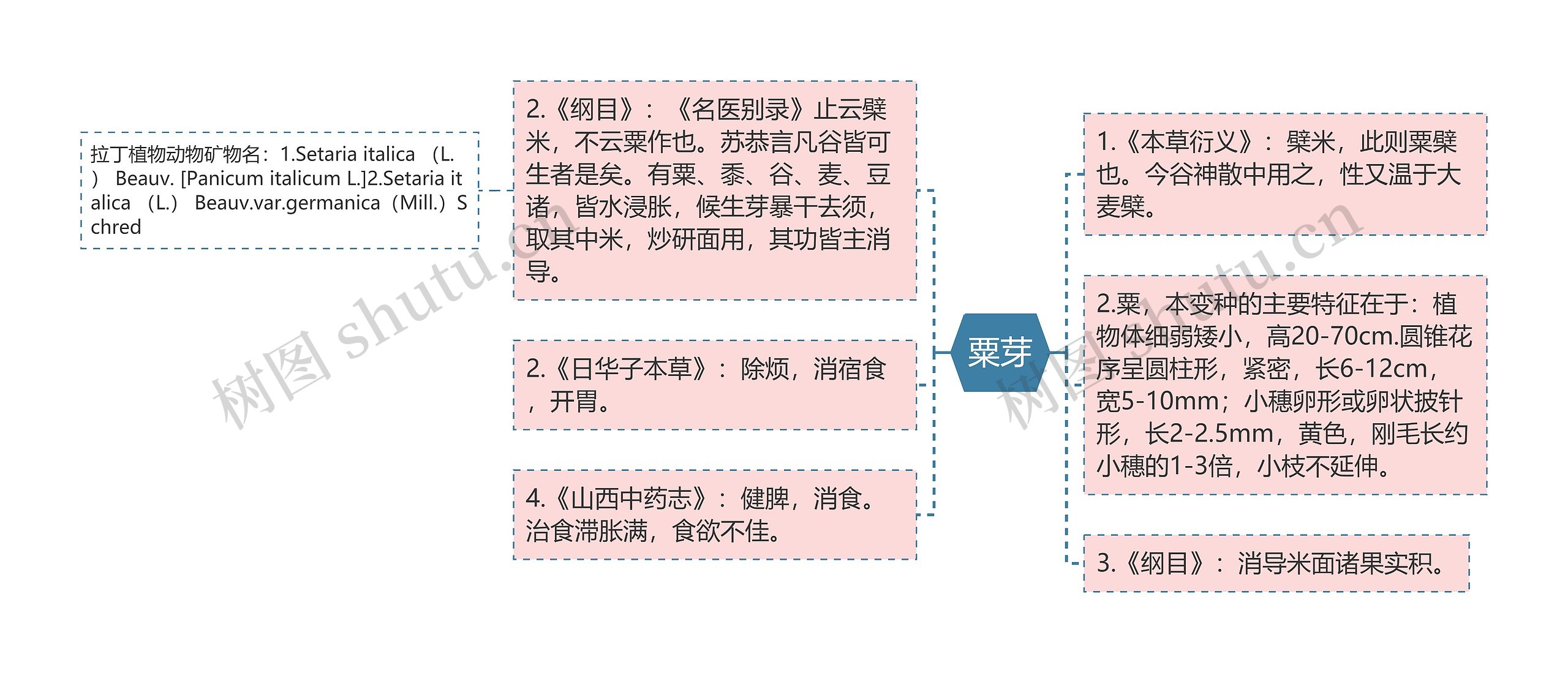 粟芽思维导图