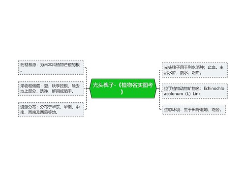 光头稗子-《植物名实图考》