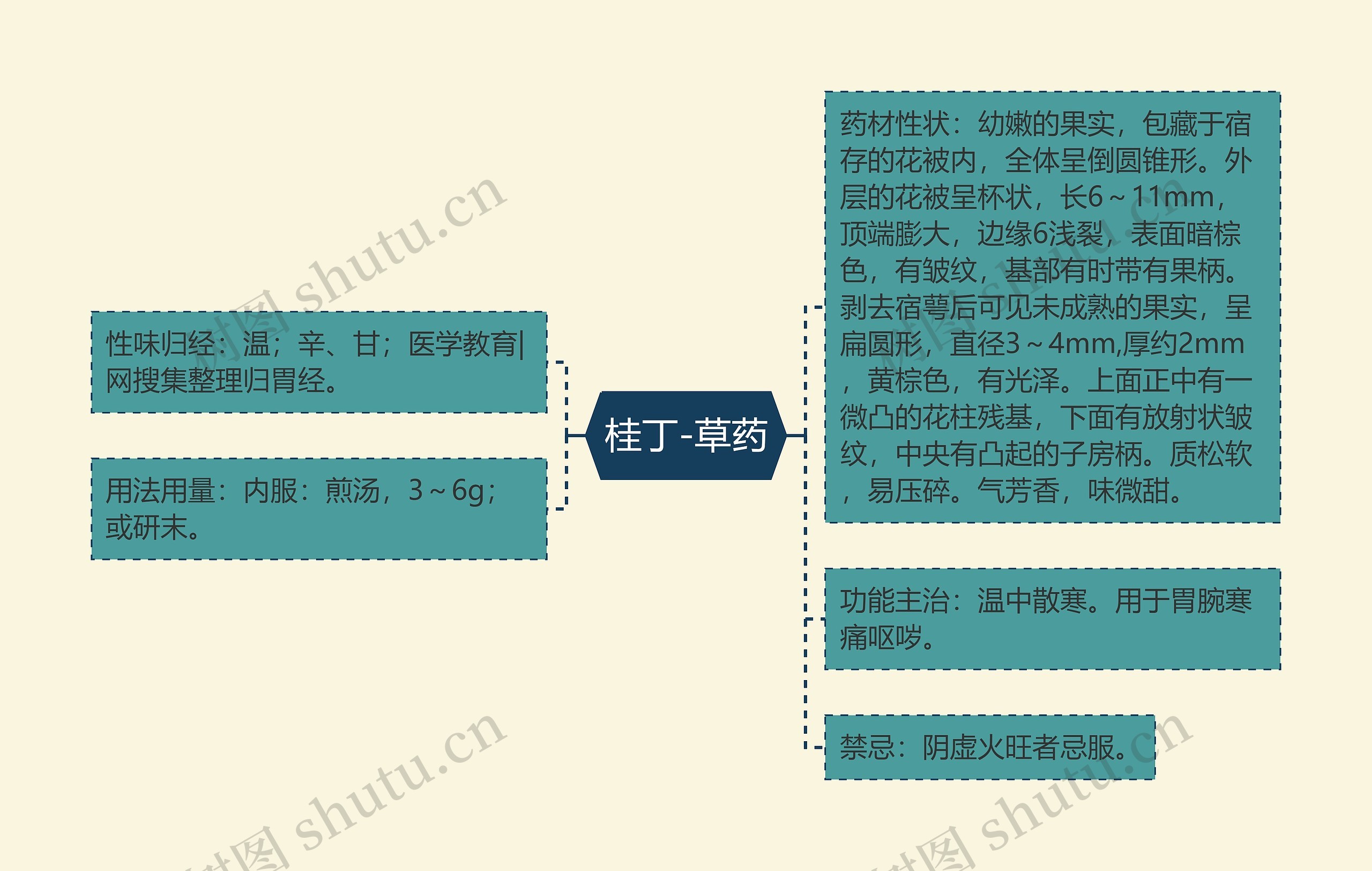 桂丁-草药思维导图