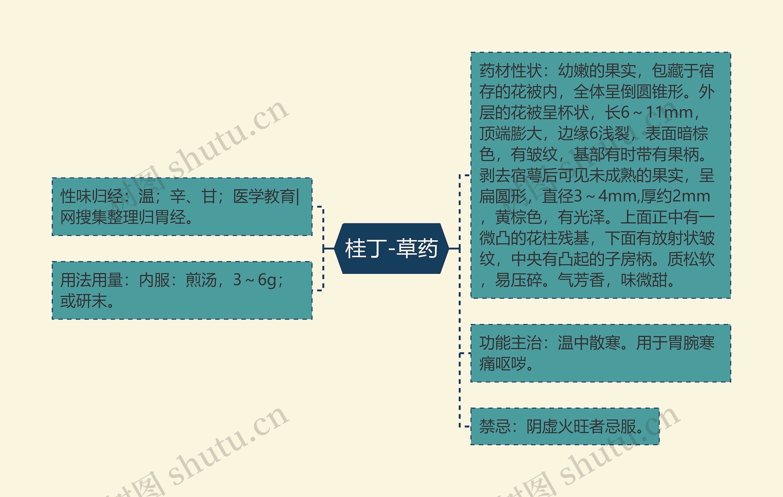 桂丁-草药 桂丁-草药