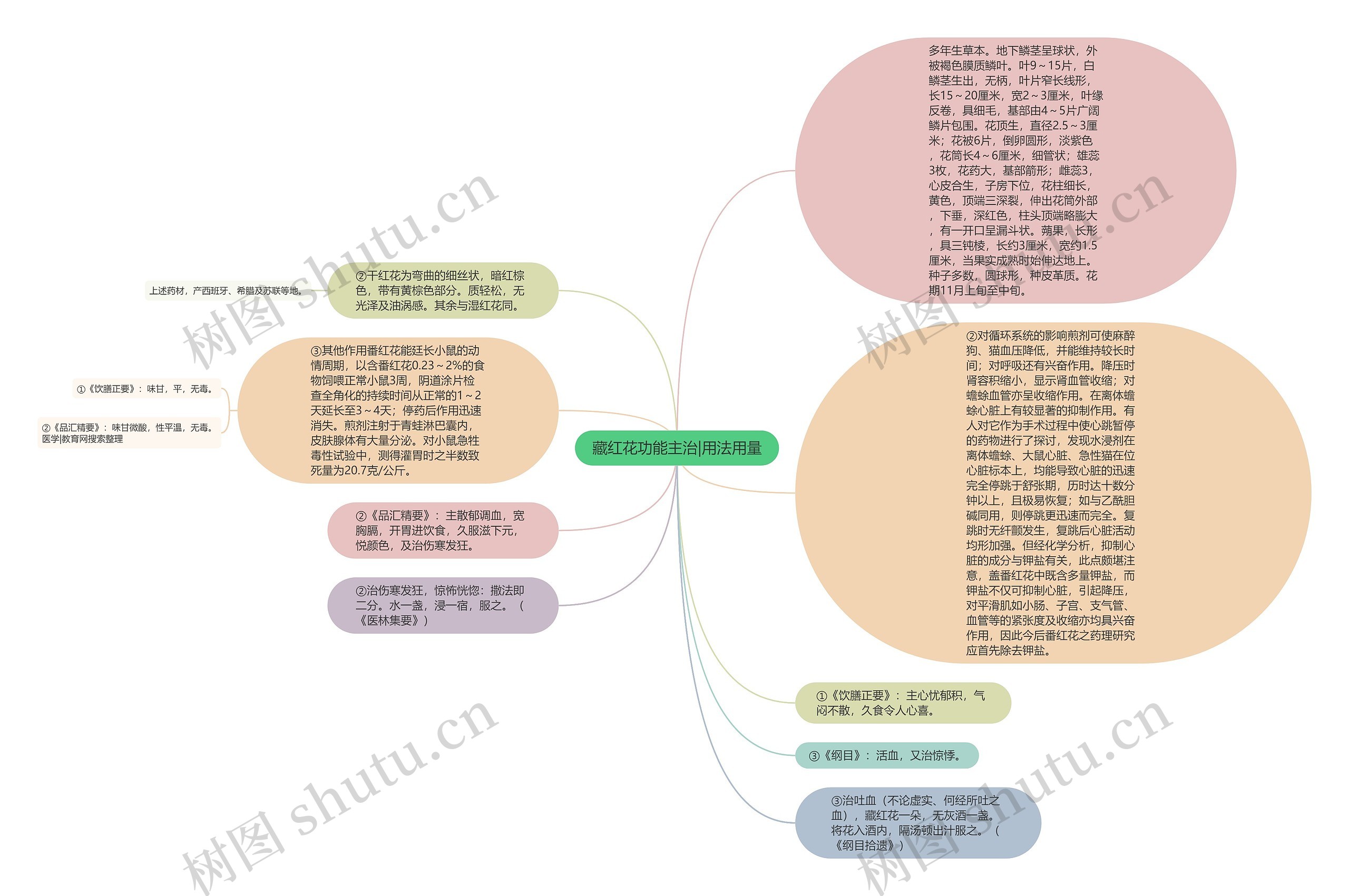 藏红花功能主治|用法用量思维导图