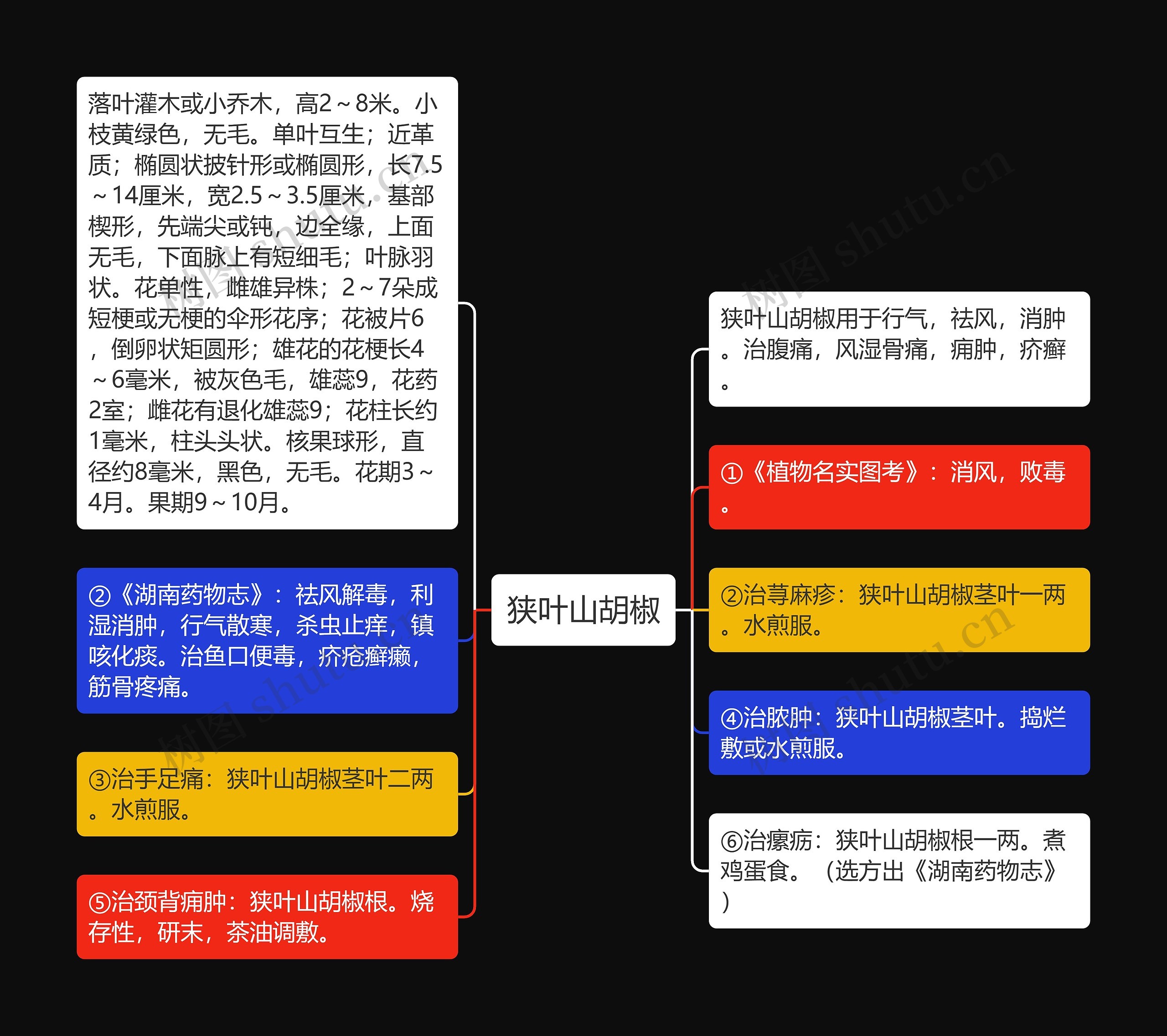 狭叶山胡椒 狭叶山胡椒