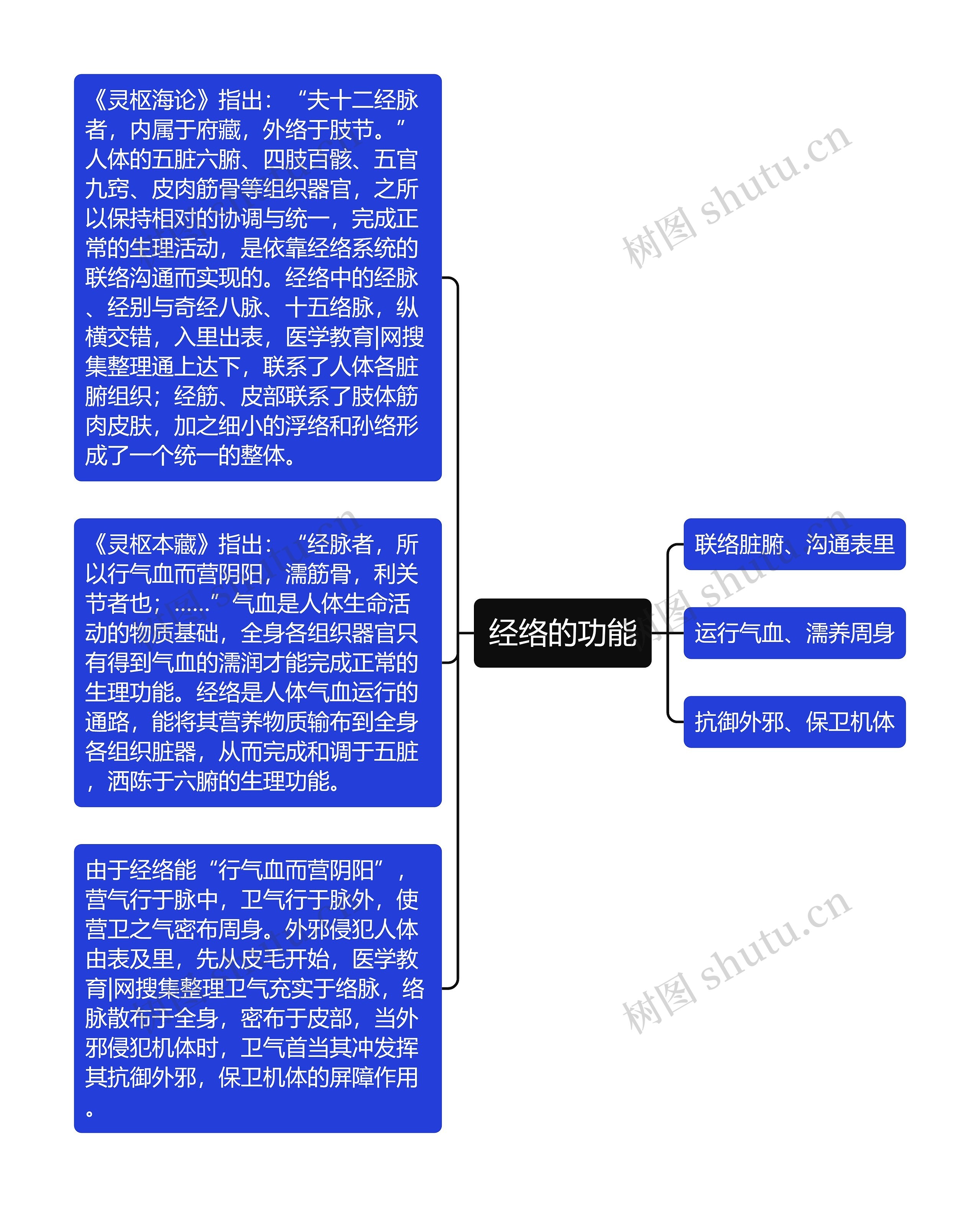 经络的功能思维导图