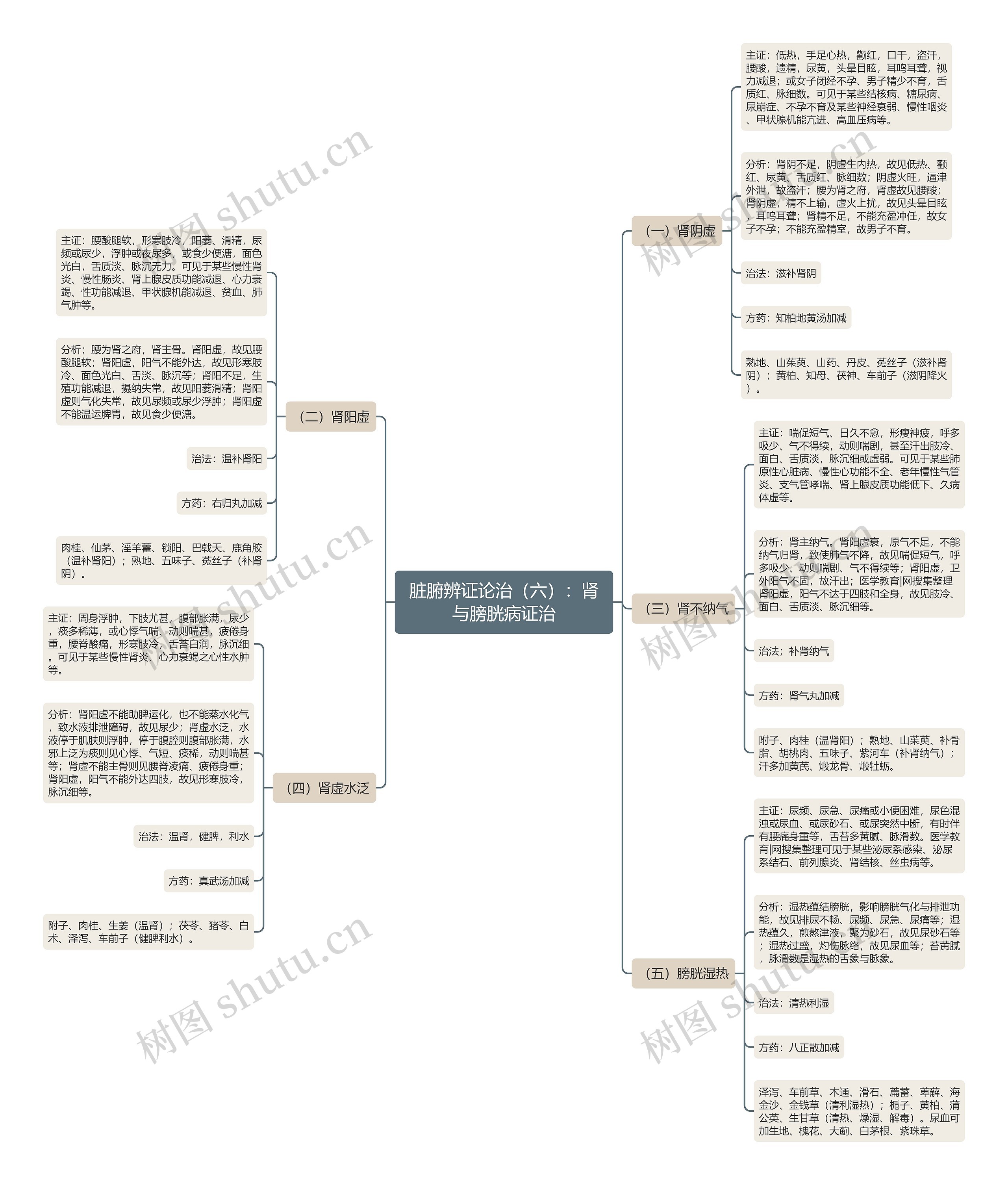 脏腑辨证论治(六):肾与膀胱病证治 脏腑辨证论治(六):肾与膀胱病证治