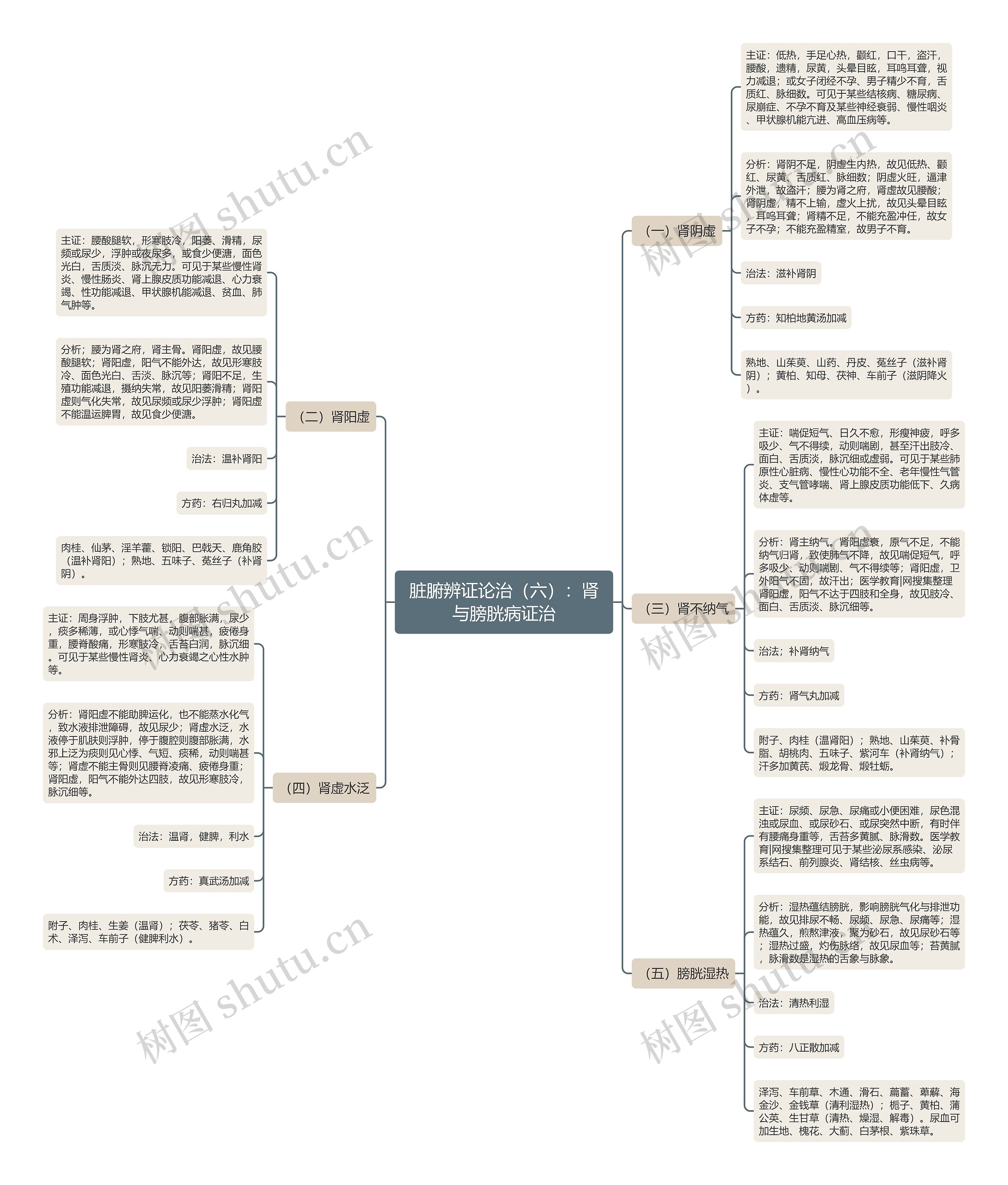 脏腑辨证论治（六）：肾与膀胱病证治思维导图