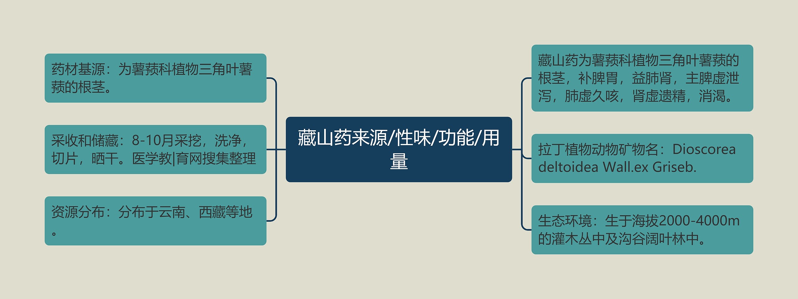 藏山药来源/性味/功能/用量思维导图