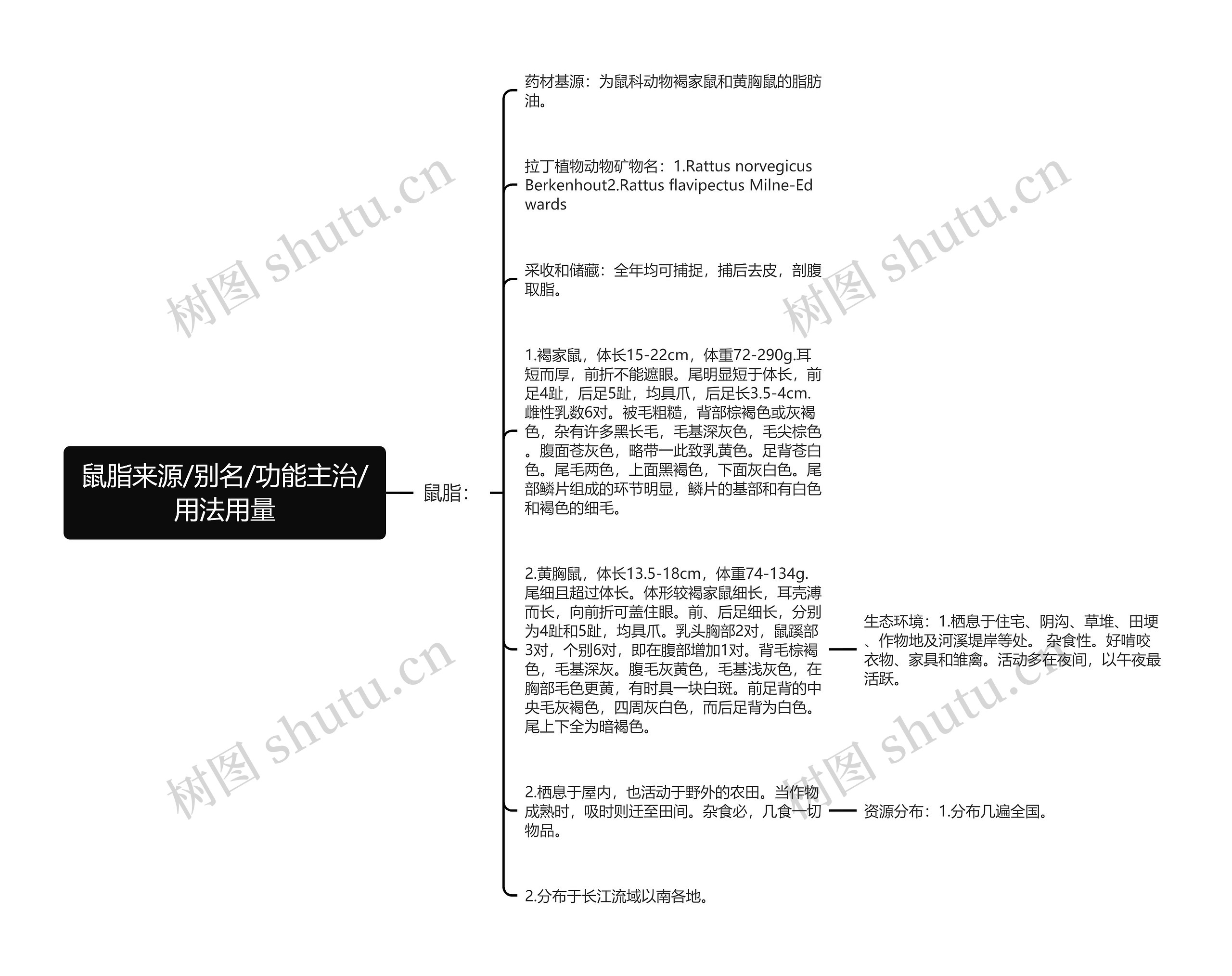 鼠脂来源/别名/功能主治/用法用量 鼠脂来源/别名/功能主治/用法用量