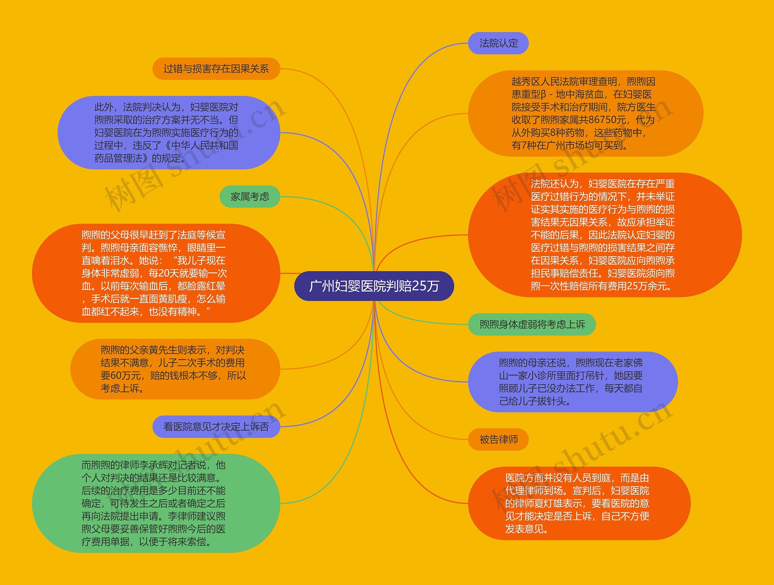 广州妇婴医院判赔25万思维导图