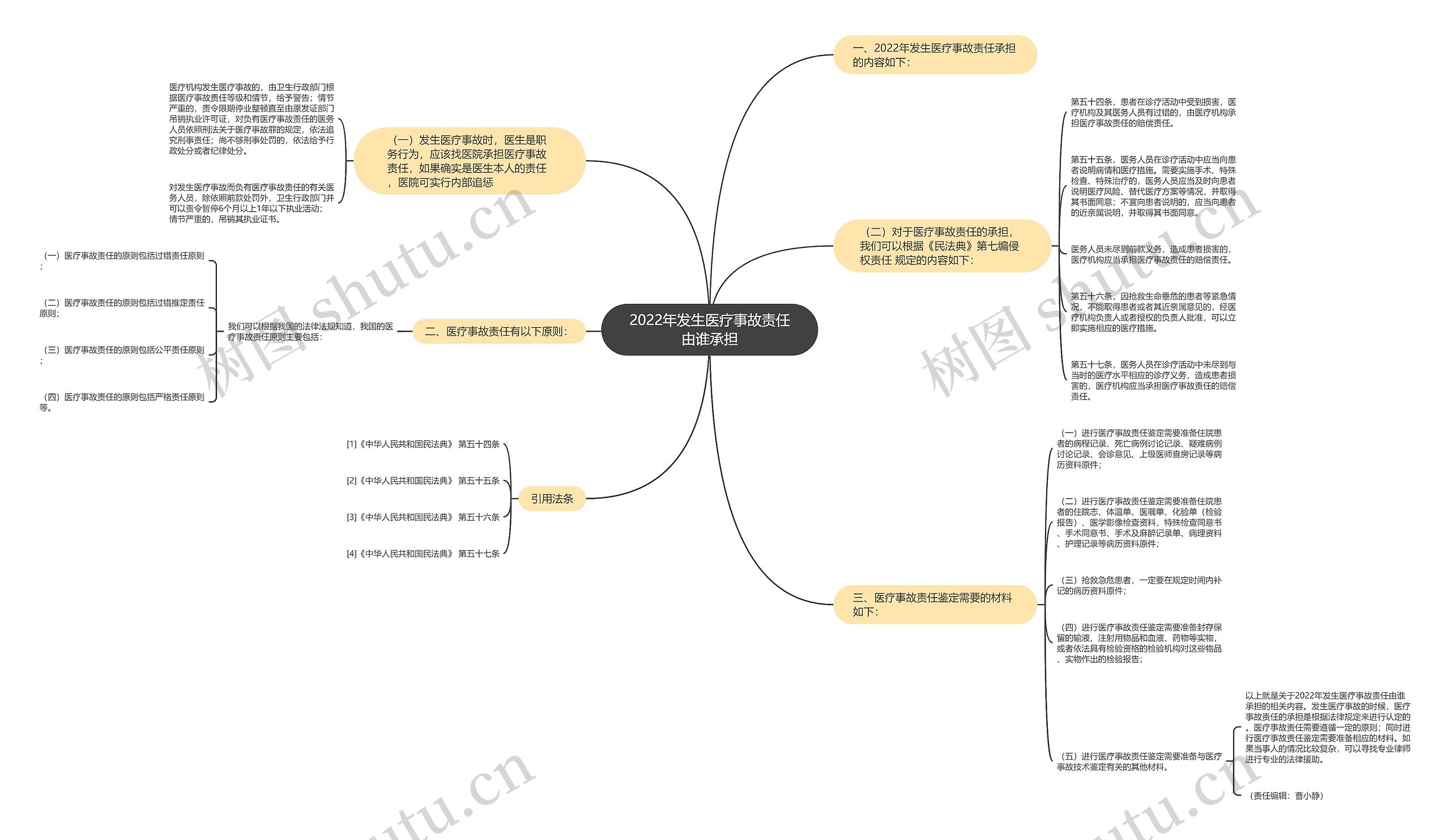 2022年发生医疗事故责任由谁承担思维导图