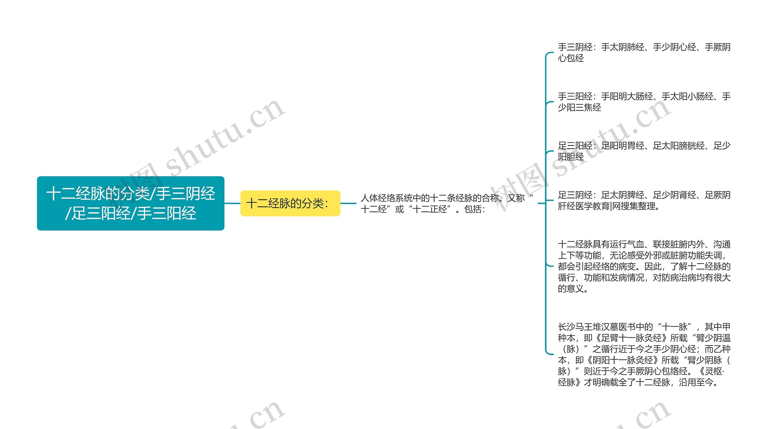 十二经脉的分类/手三阴经/足三阳经/手三阳经思维导图