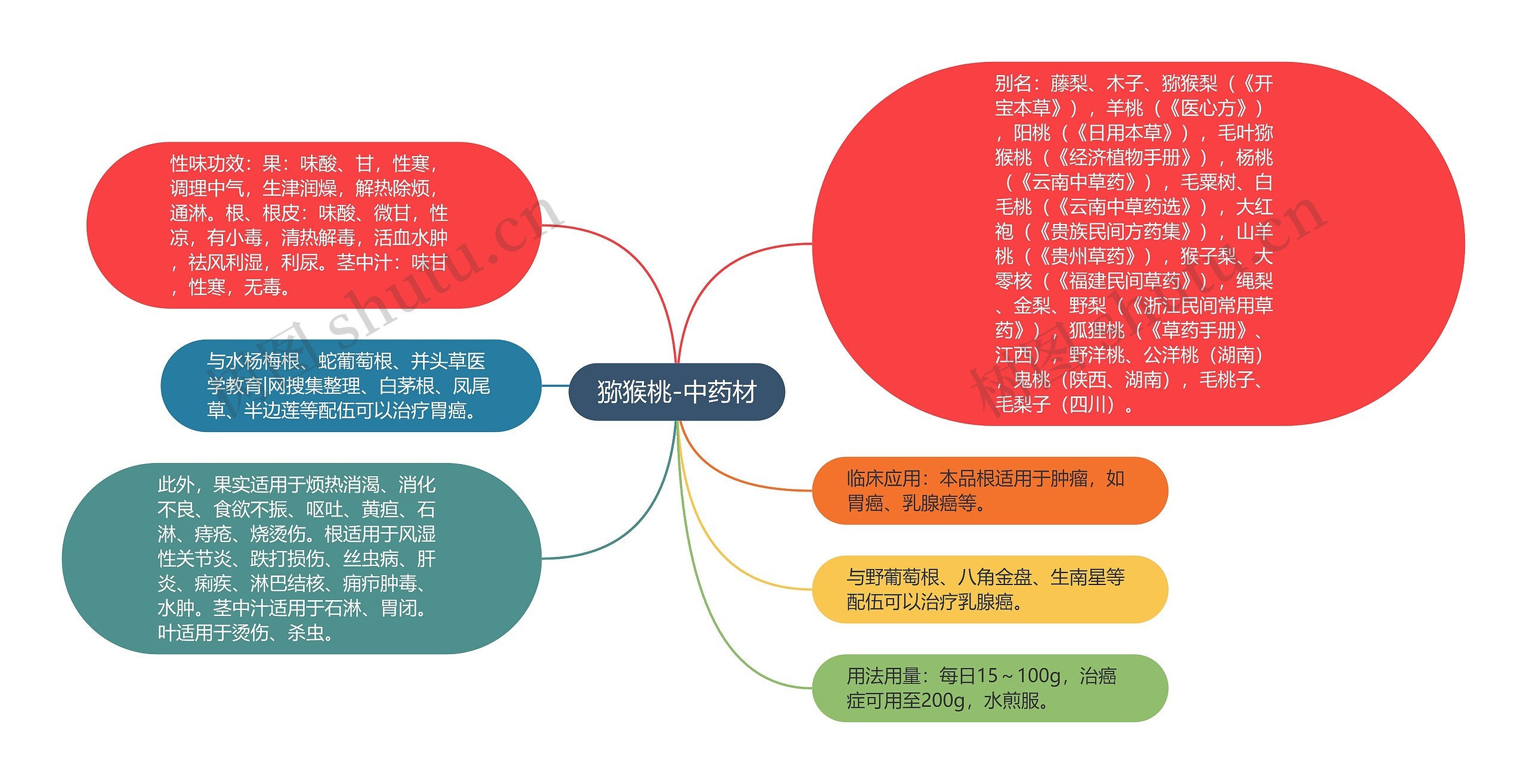 猕猴桃-中药材 猕猴桃-中药材