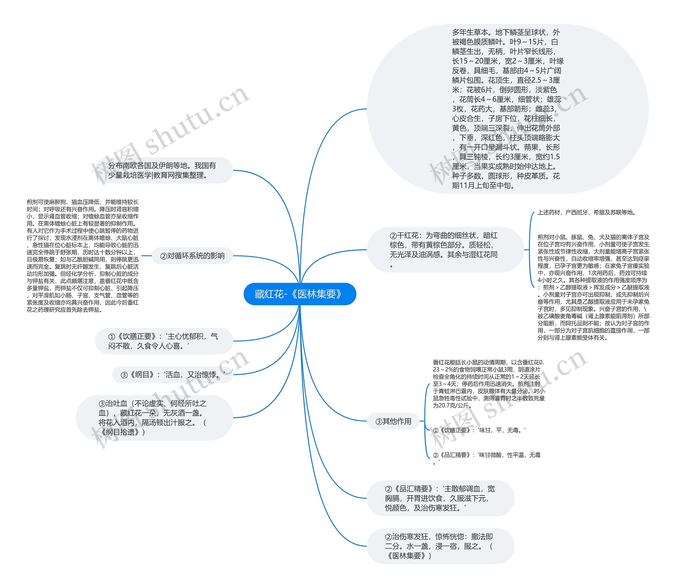 藏红花-《医林集要》思维导图
