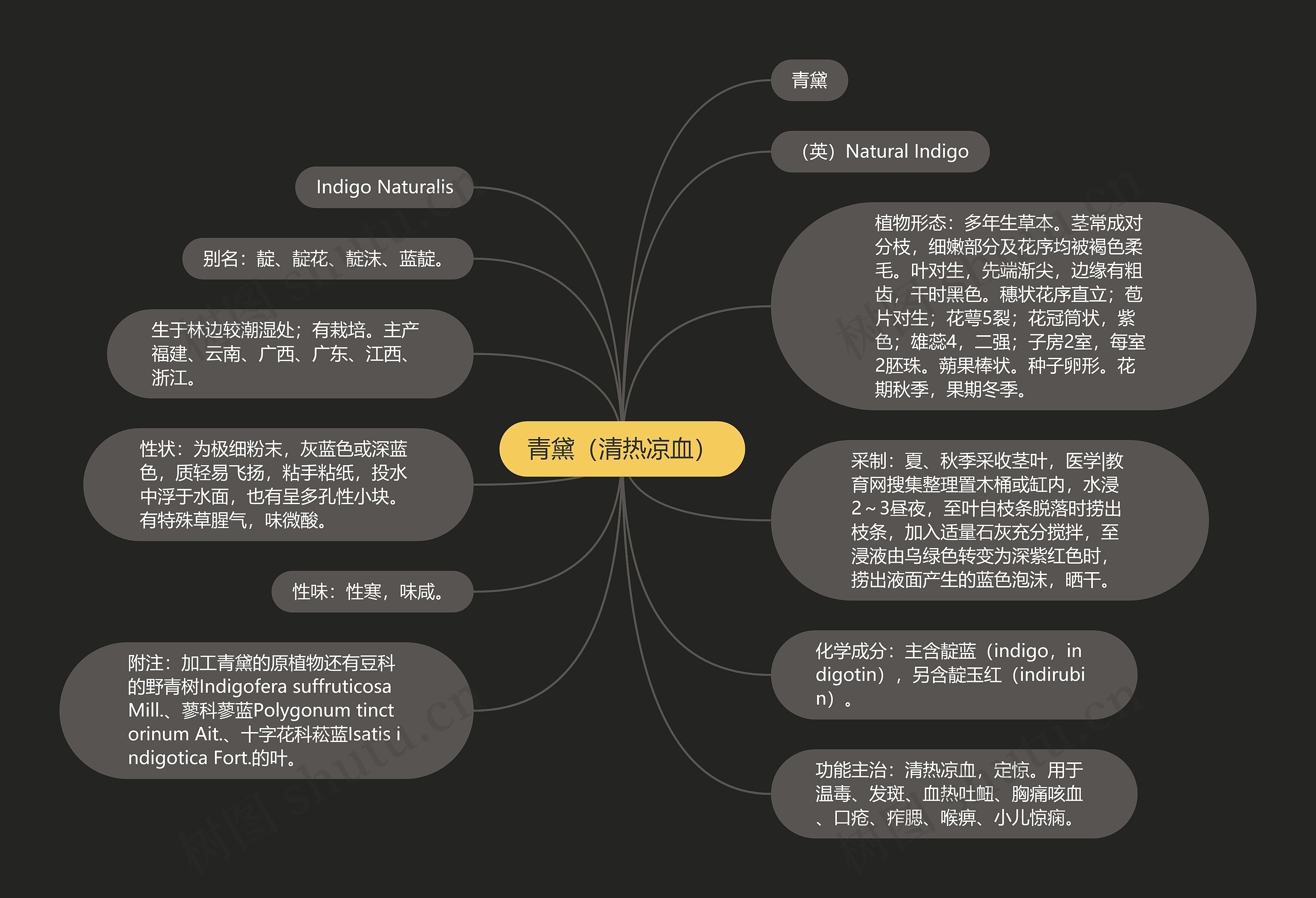 青黛（清热凉血）思维导图