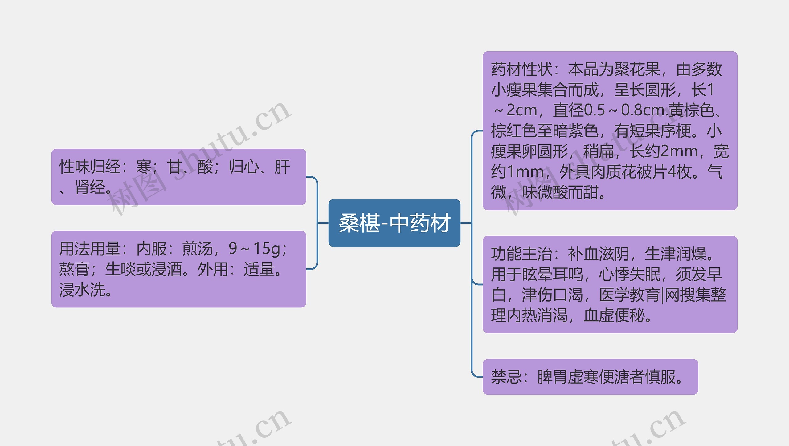 桑椹-中药材思维导图