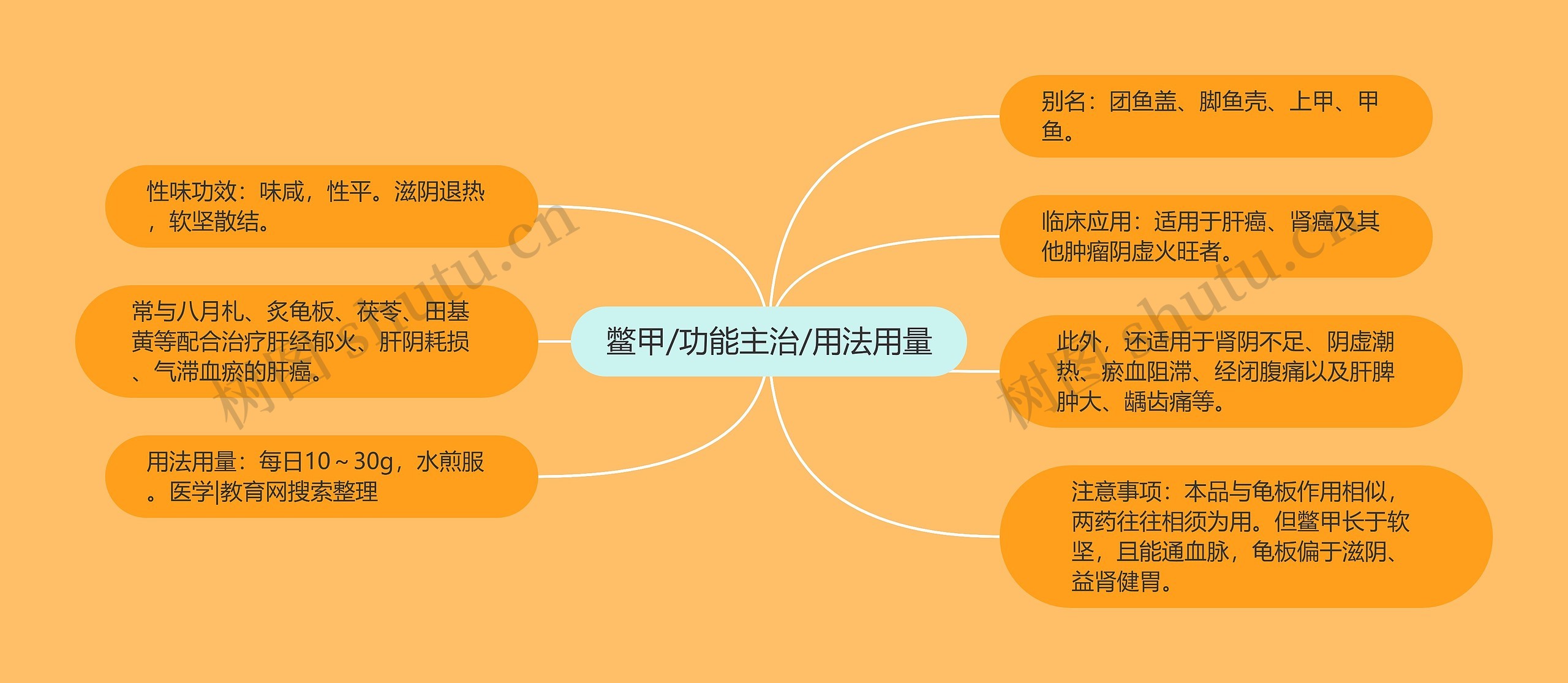 鳖甲/功能主治/用法用量 鳖甲/功能主治/用法用量
