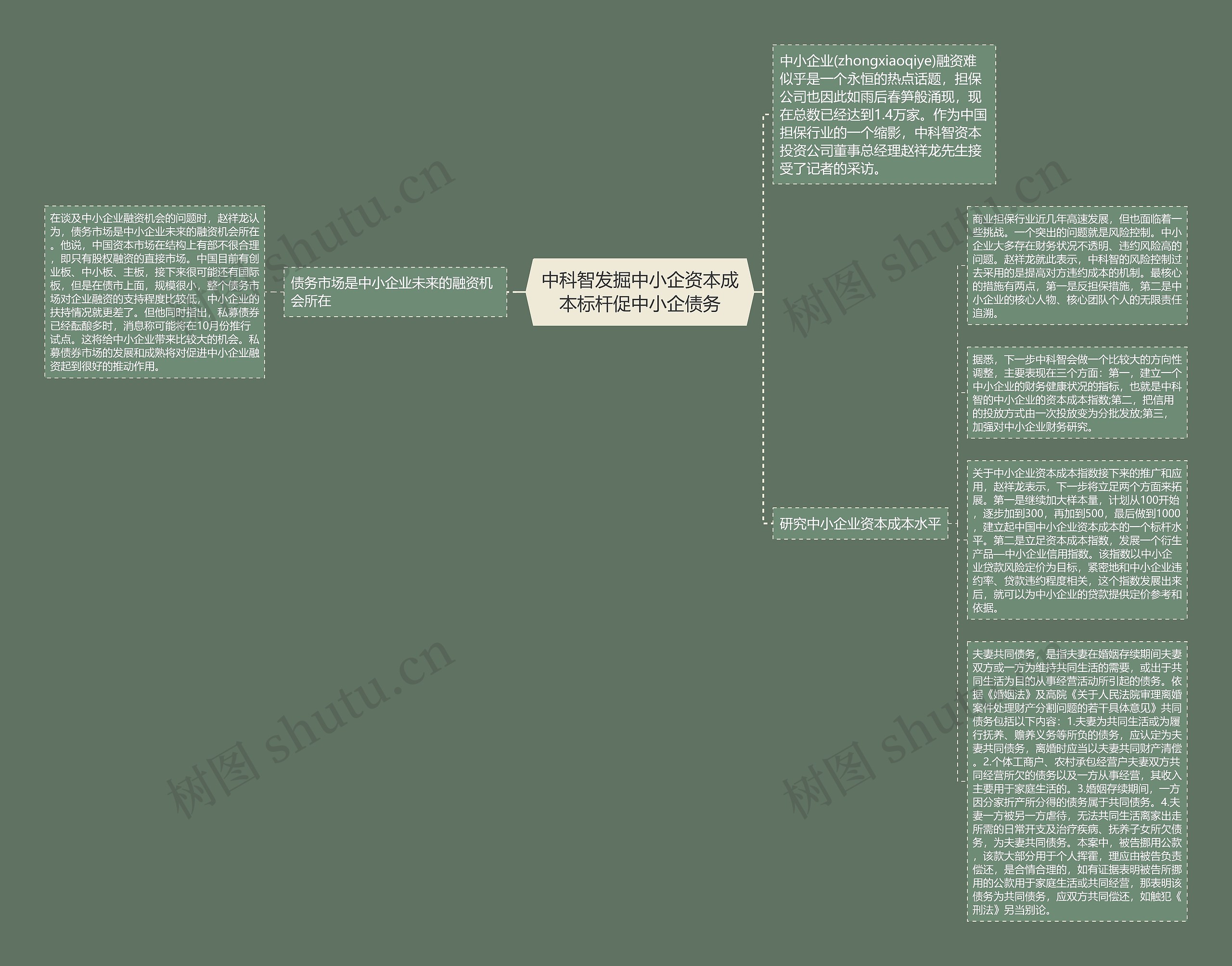 中科智发掘中小企资本成本标杆促中小企债务思维导图